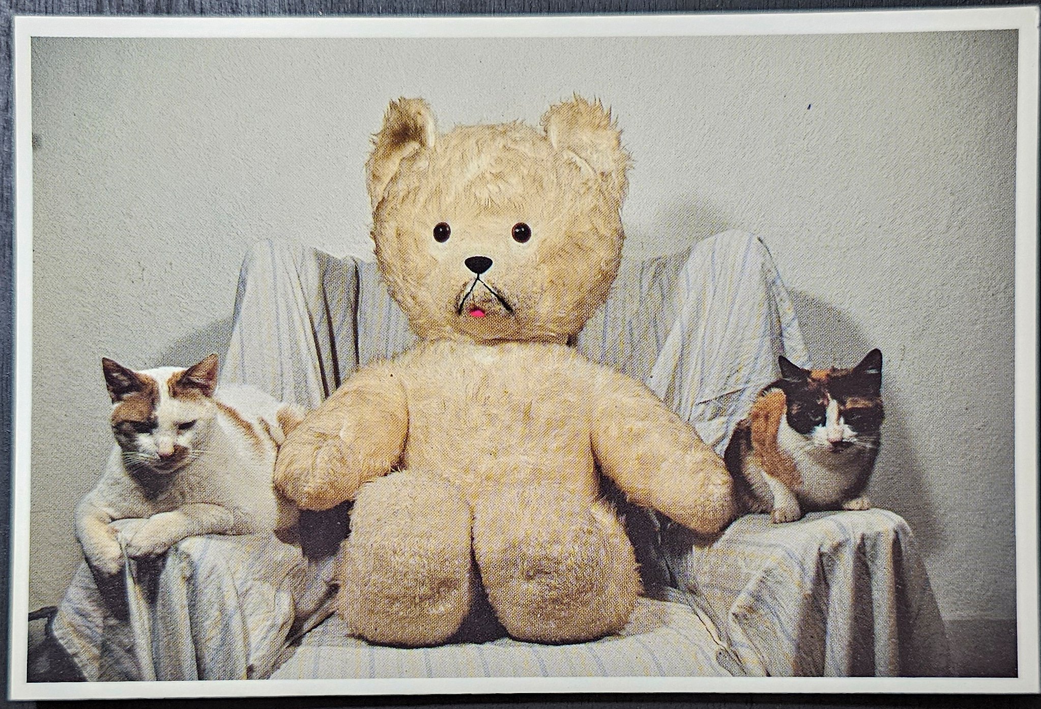 (image for) CAT-50_80s-0001