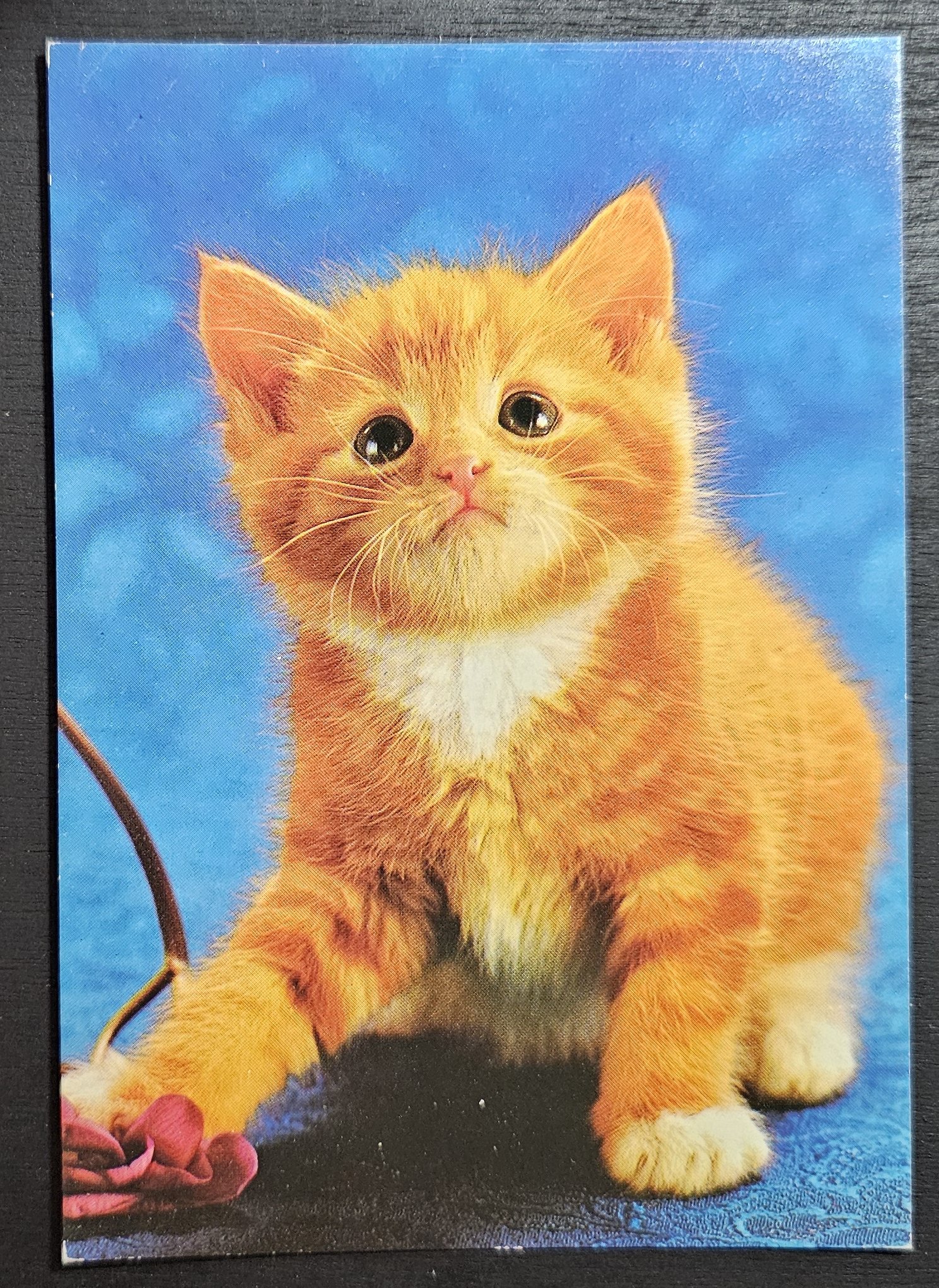 (image for) CAT-50_80s-0003