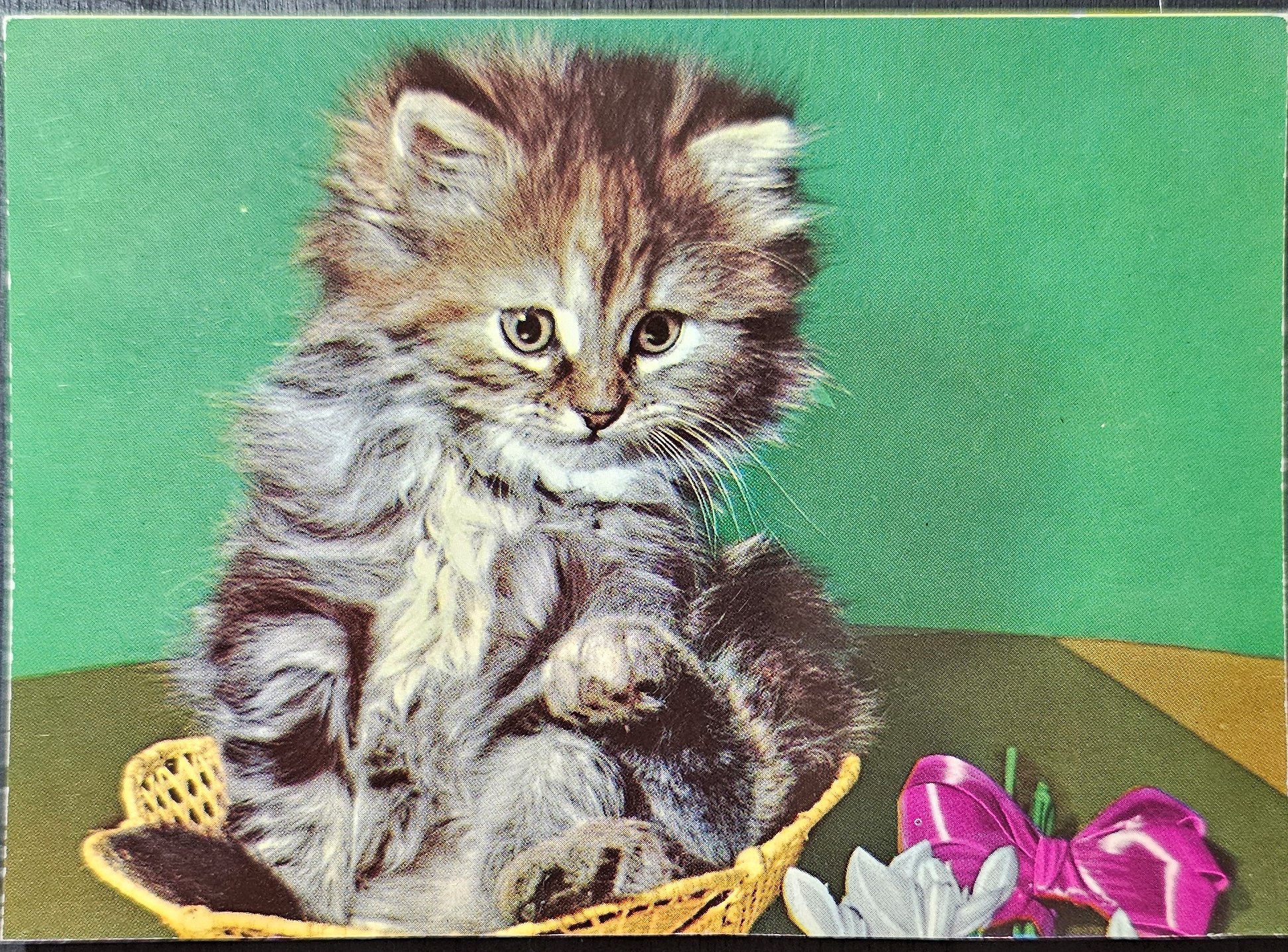 (image for) CAT-50_80s-0018