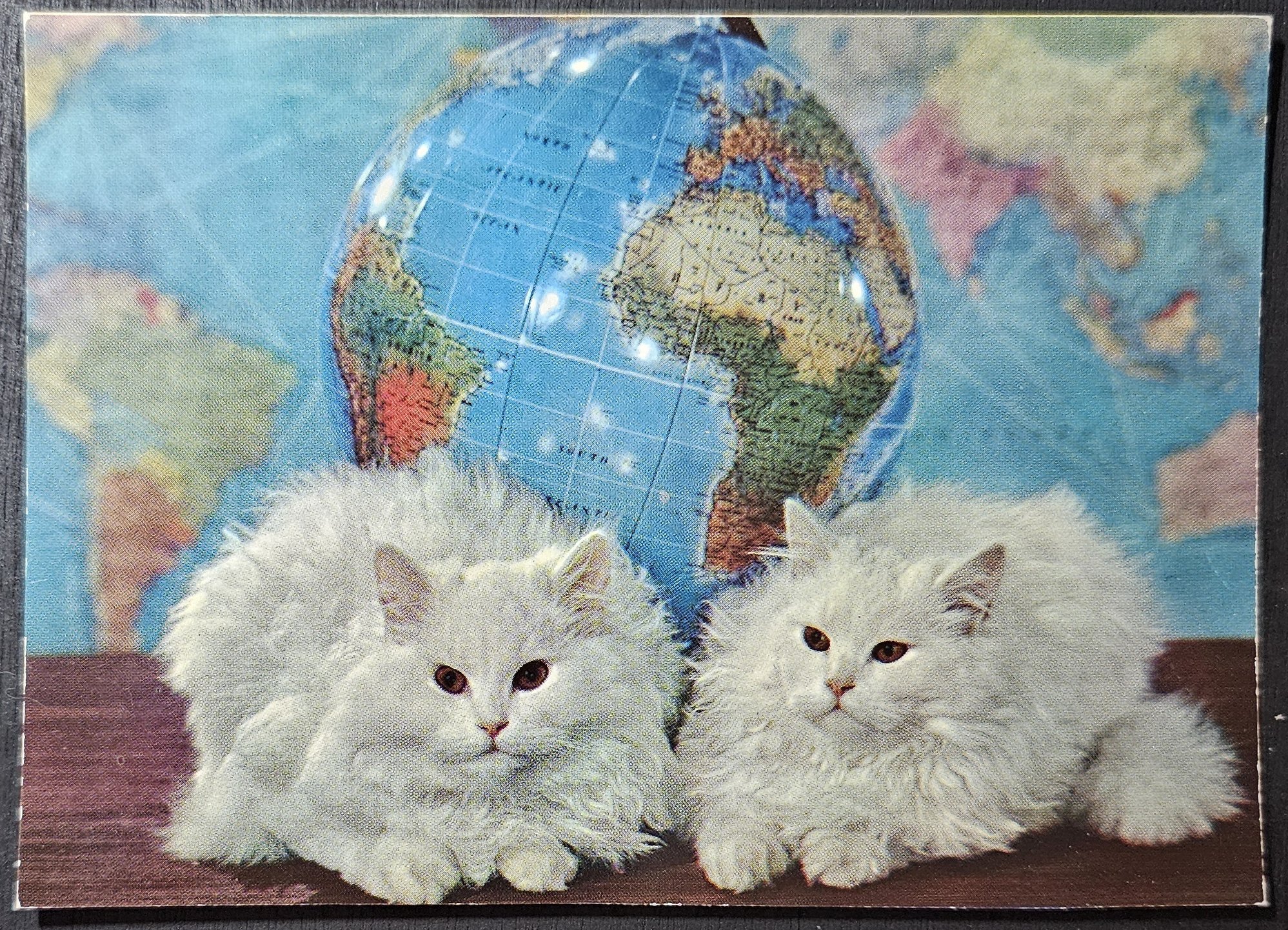 (image for) CAT-50_80s-0022