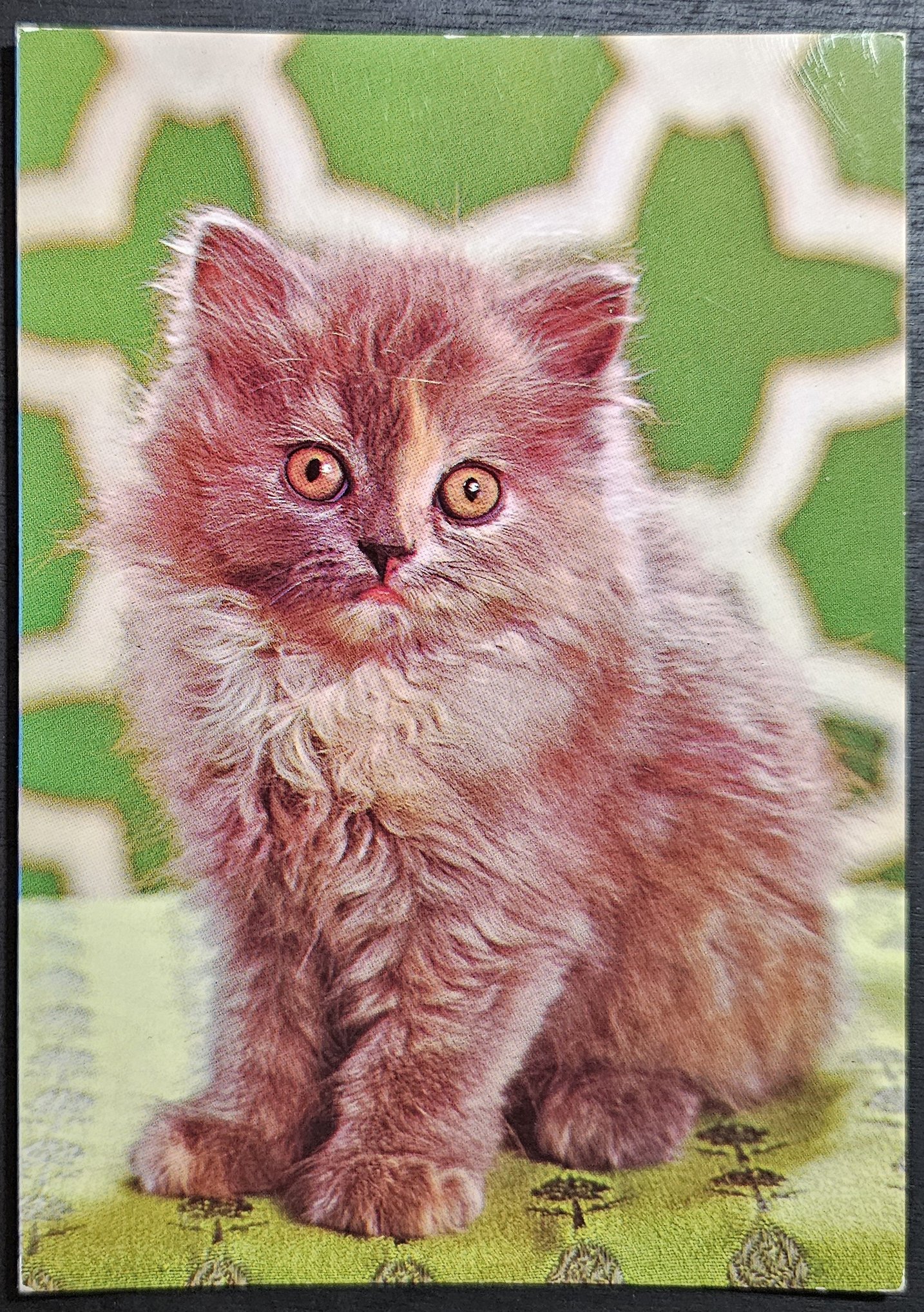 (image for) CAT-50_80s-0027