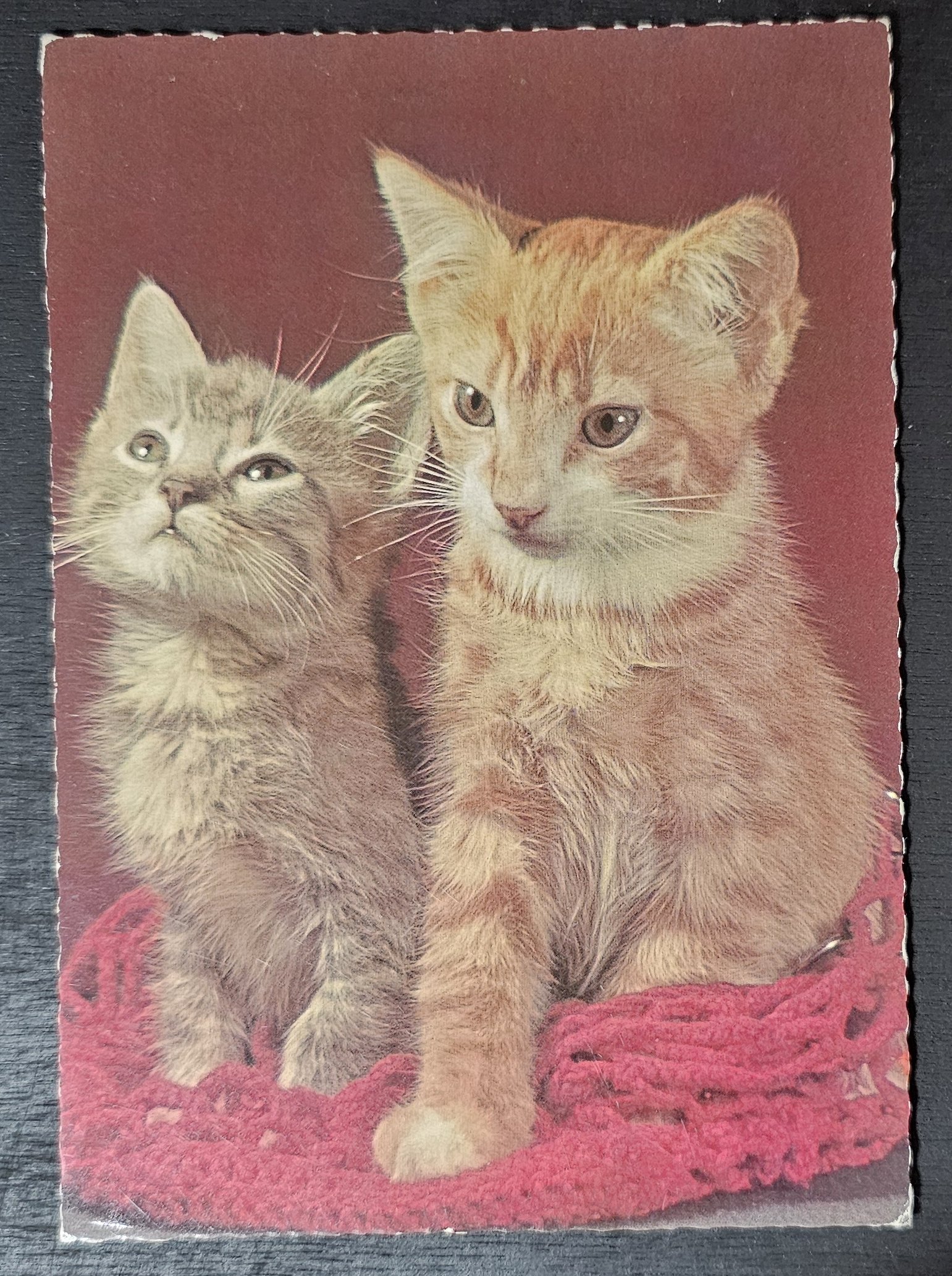 (image for) CAT-50_80s-0033