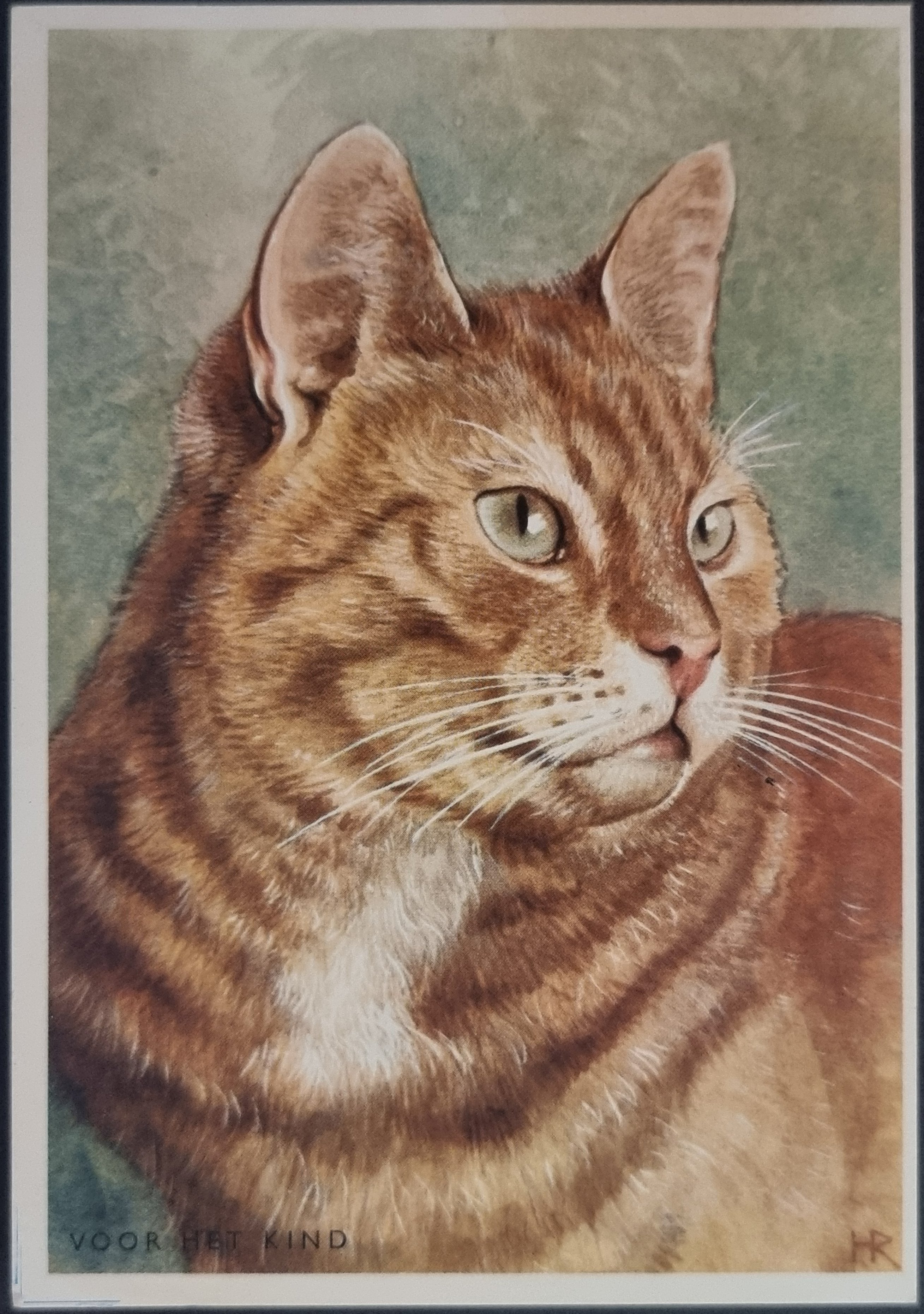 (image for) CAT-50_80s-0043