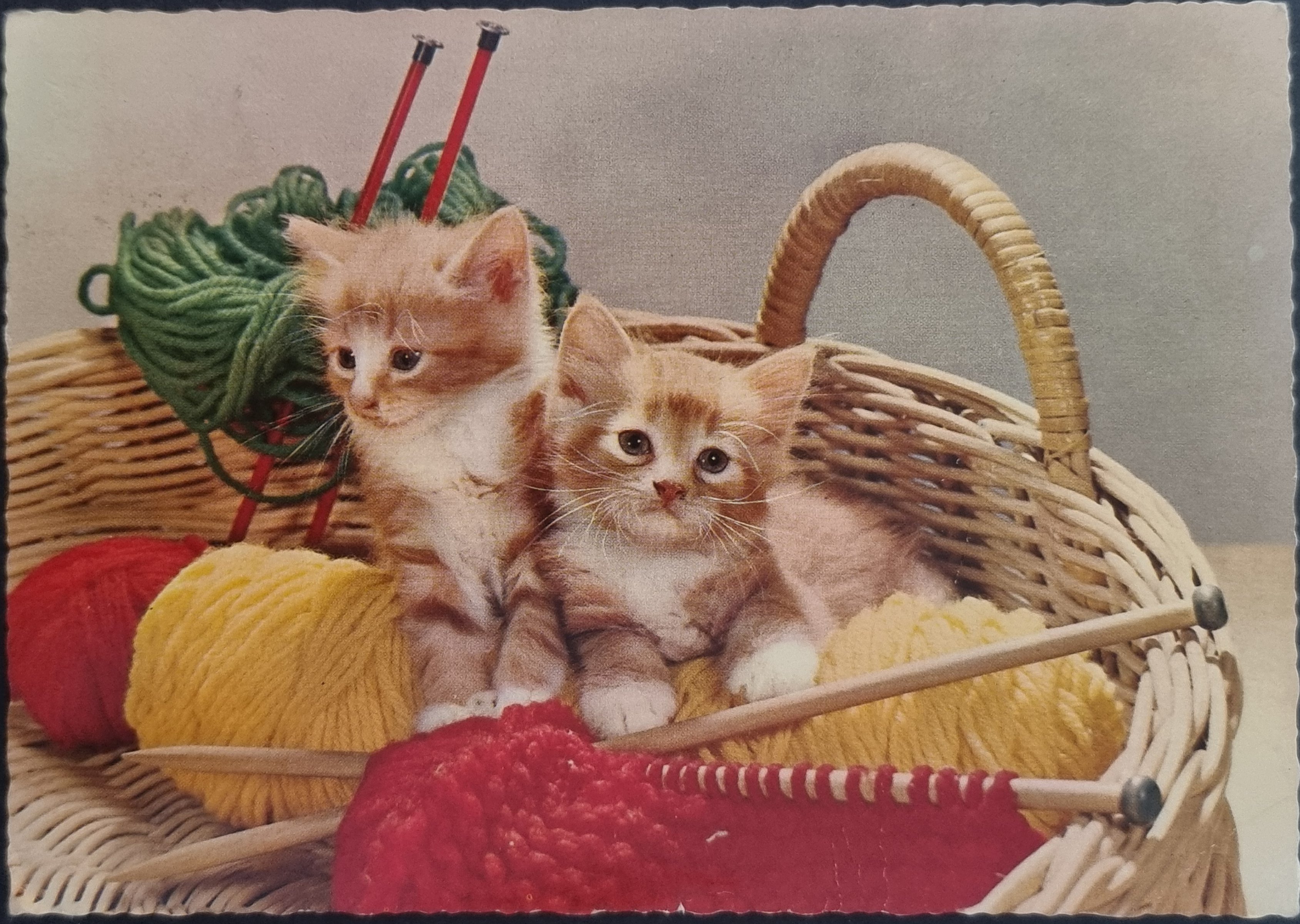 (image for) CAT-50_80s-0044