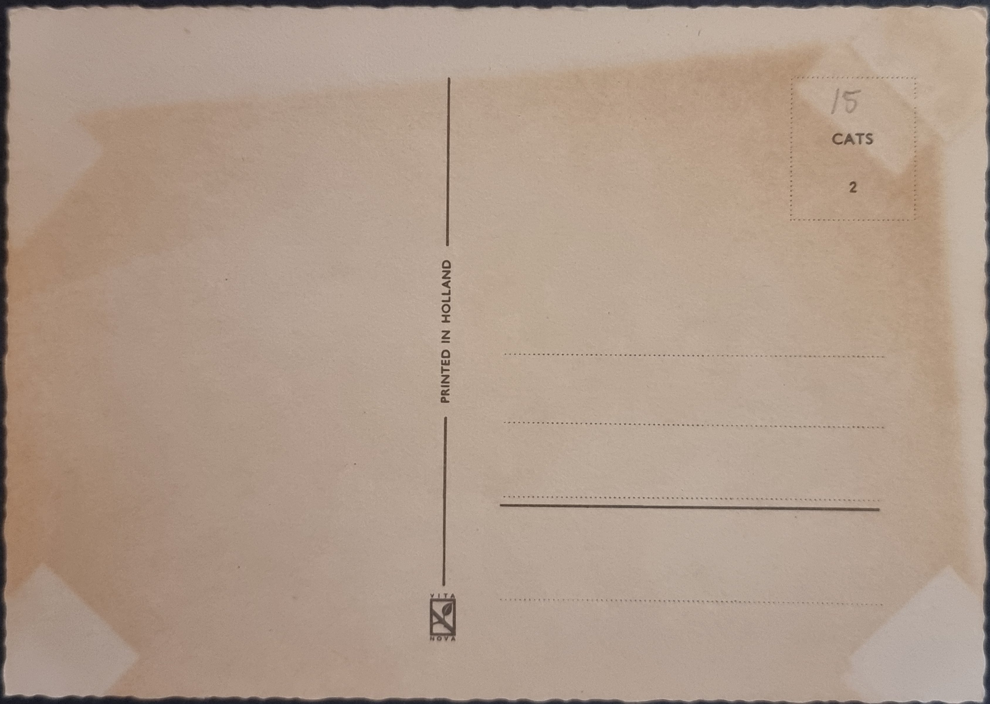 (image for) CAT-50_80s-0048