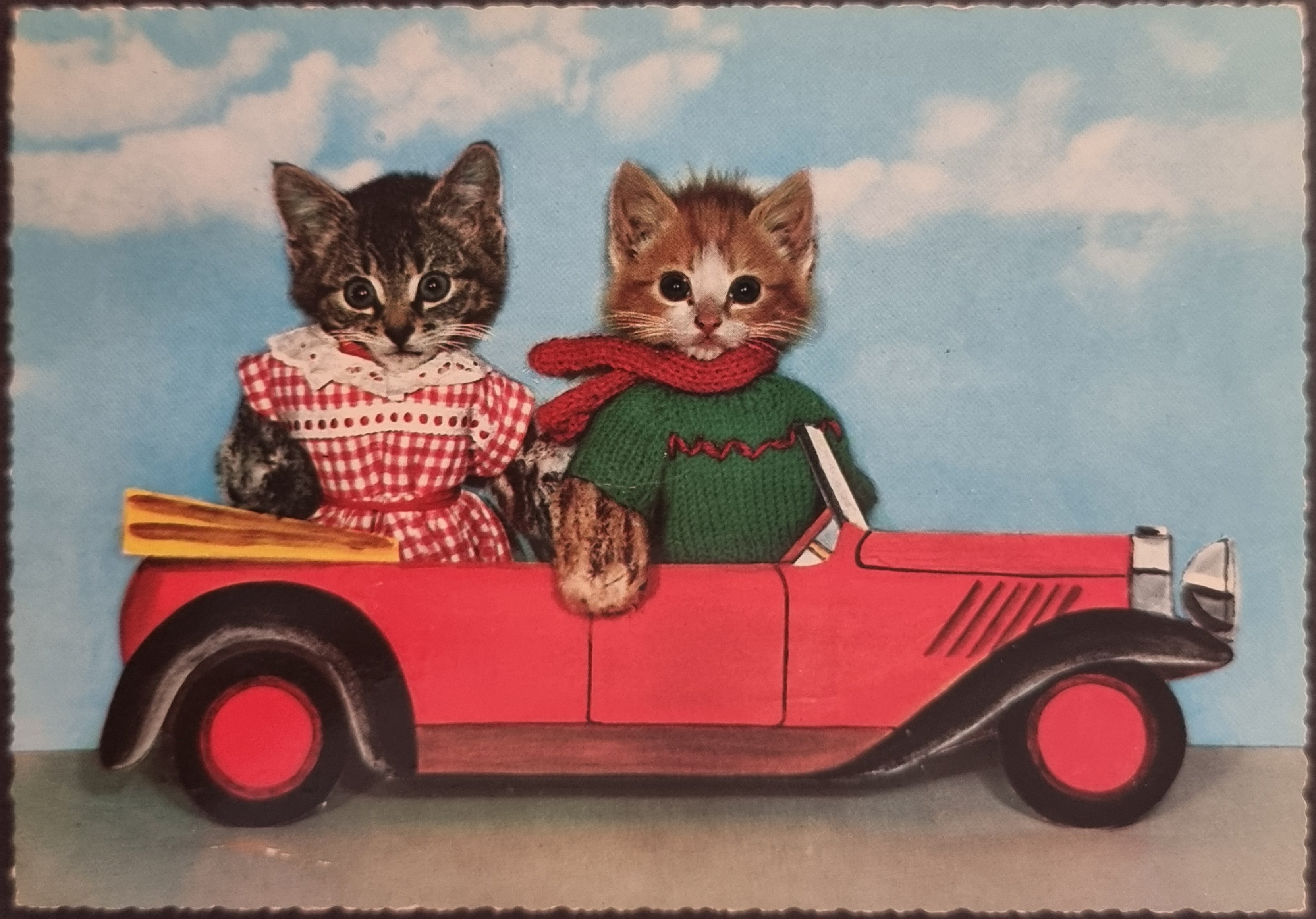 (image for) CAT-50_80s-0051