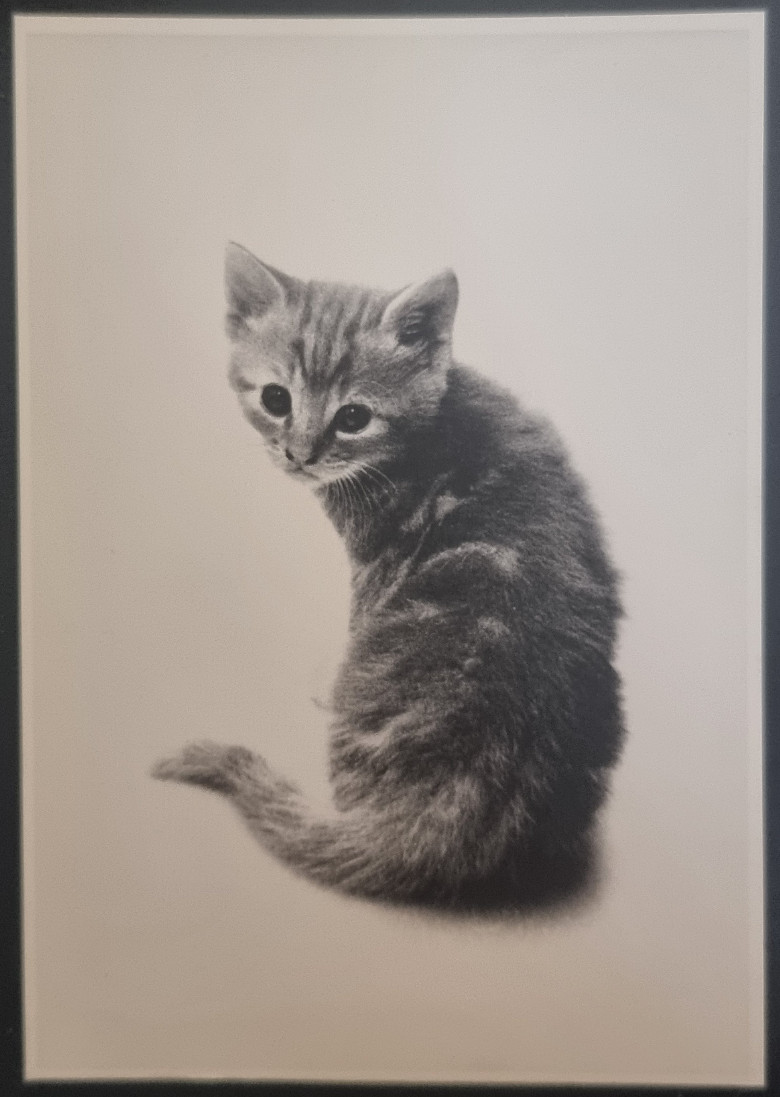 (image for) CAT 1990s and later0047