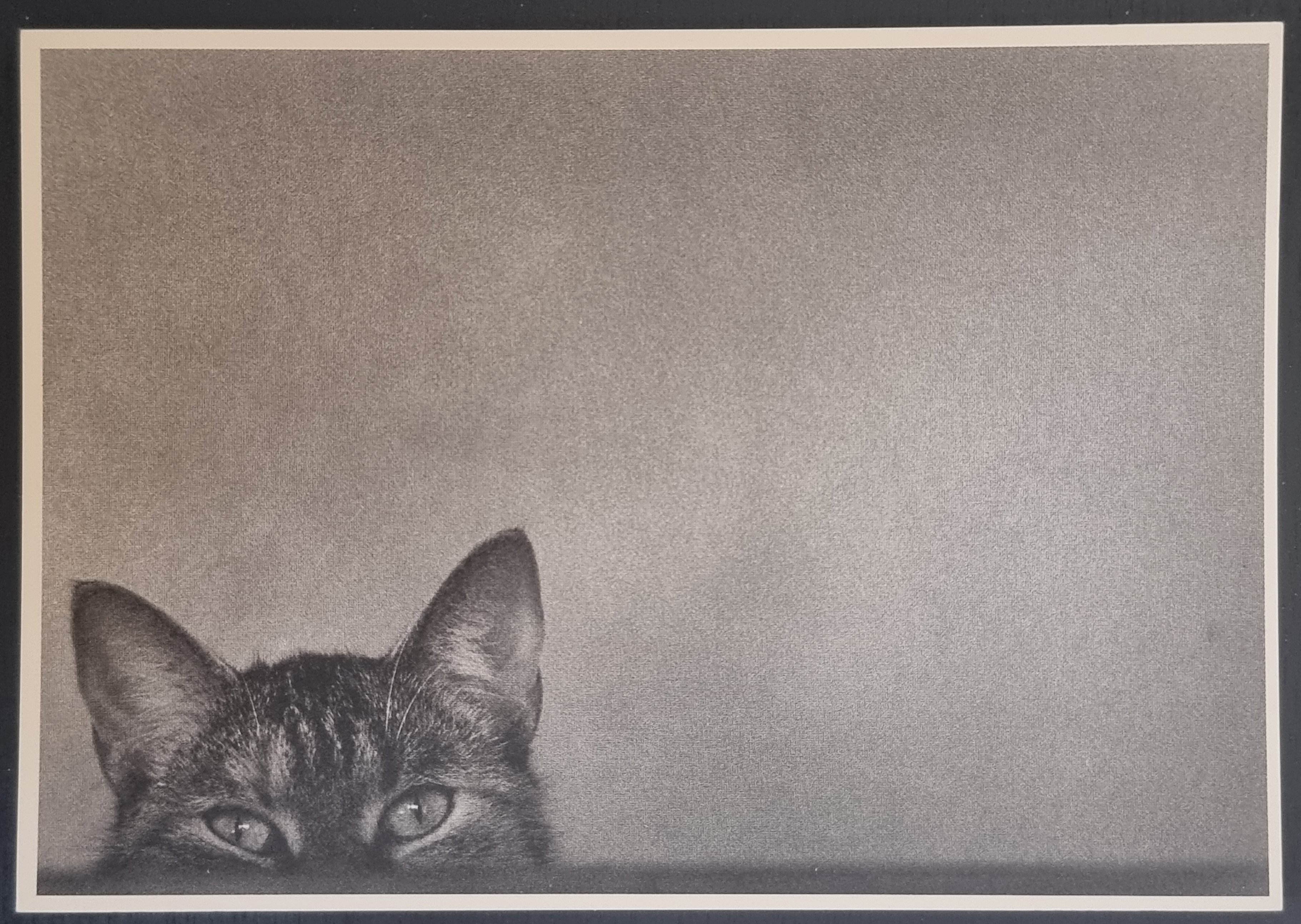 (image for) CAT 1990s and later0049