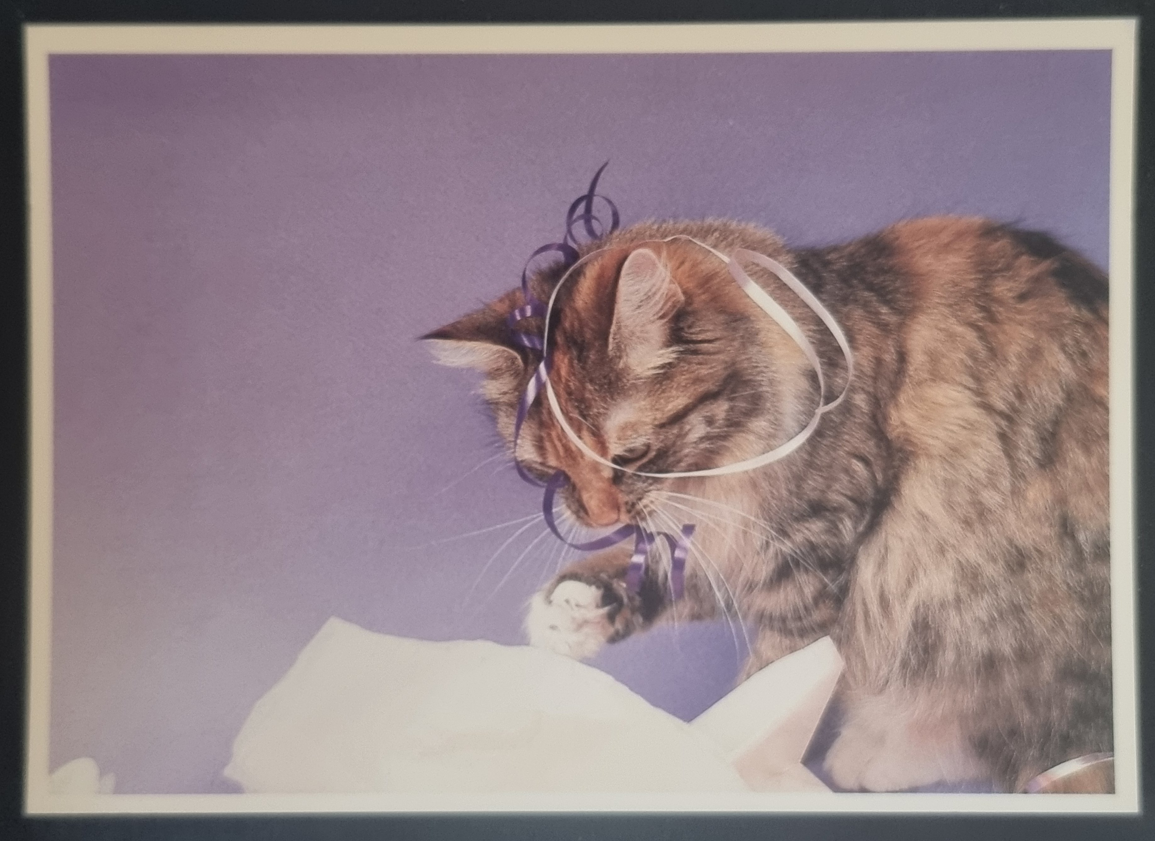 (image for) CAT 1990s and later0058