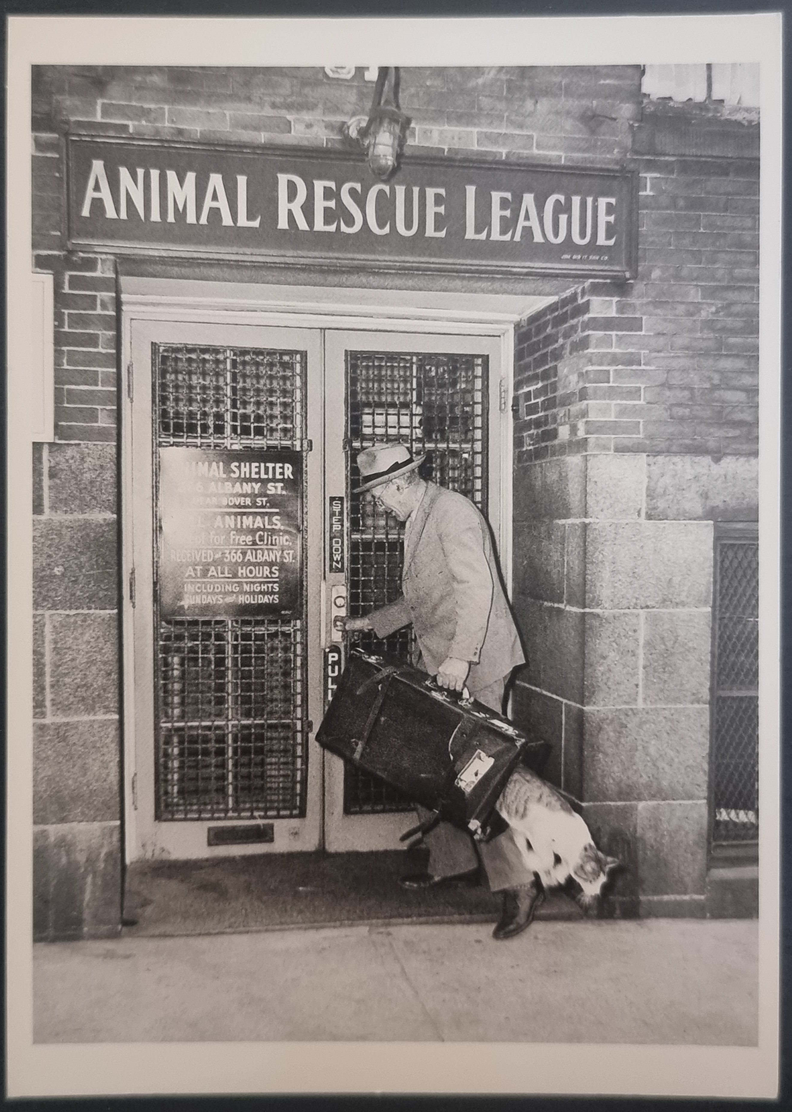 (image for) CAT 1990s and later0064