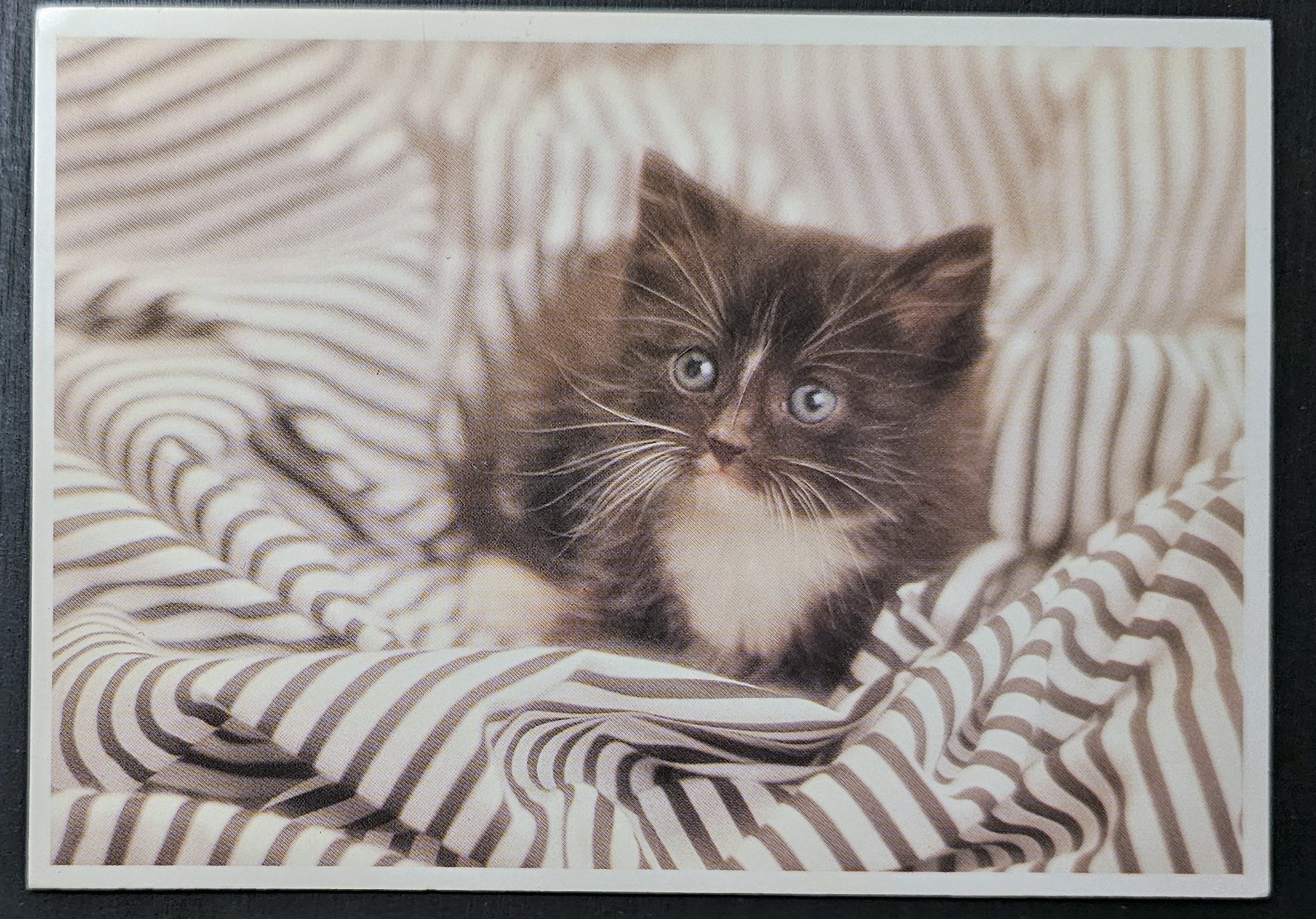 (image for) CAT 1990s and later0069