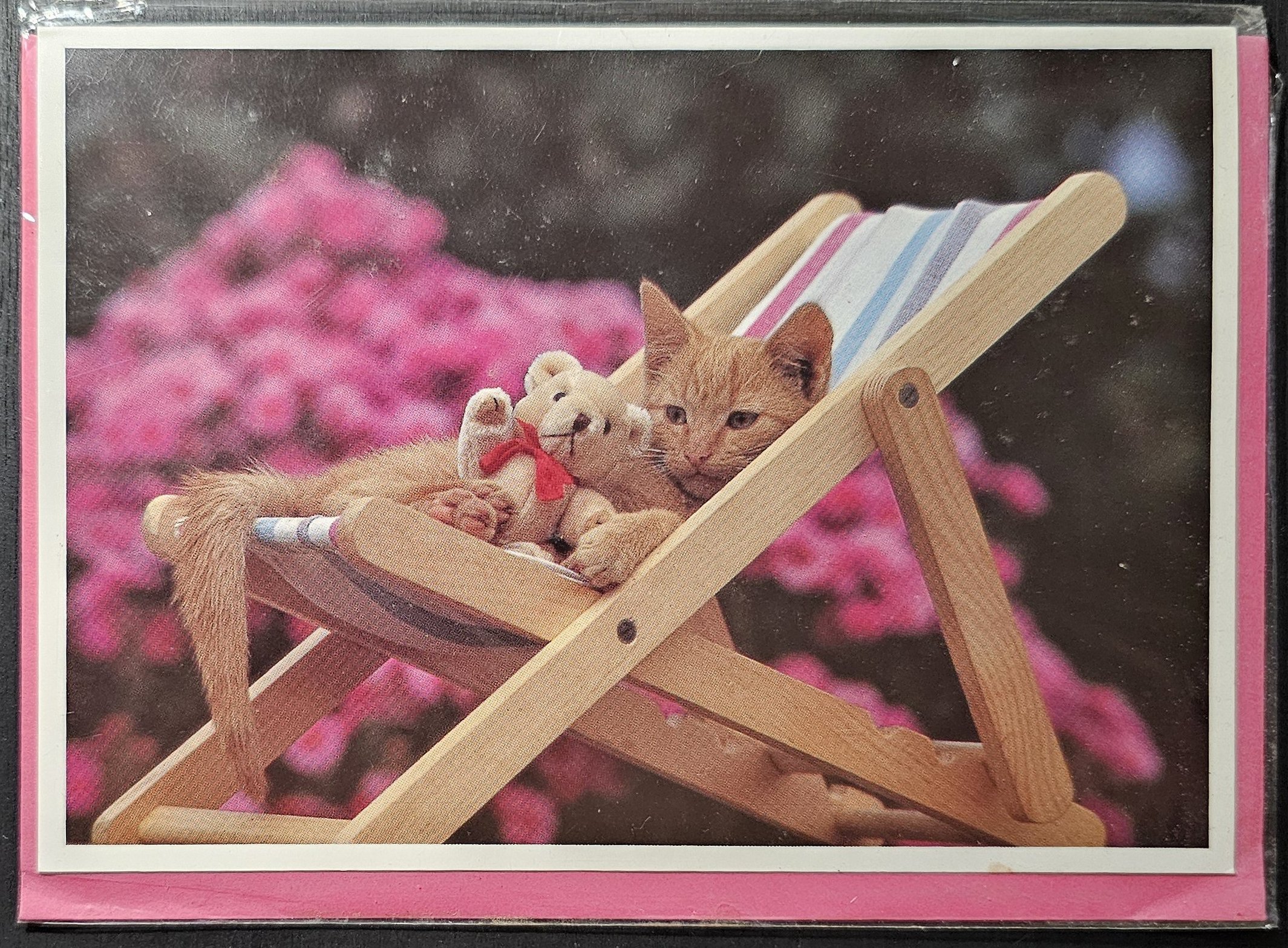 (image for) CAT 1990s and later0070 - Click Image to Close