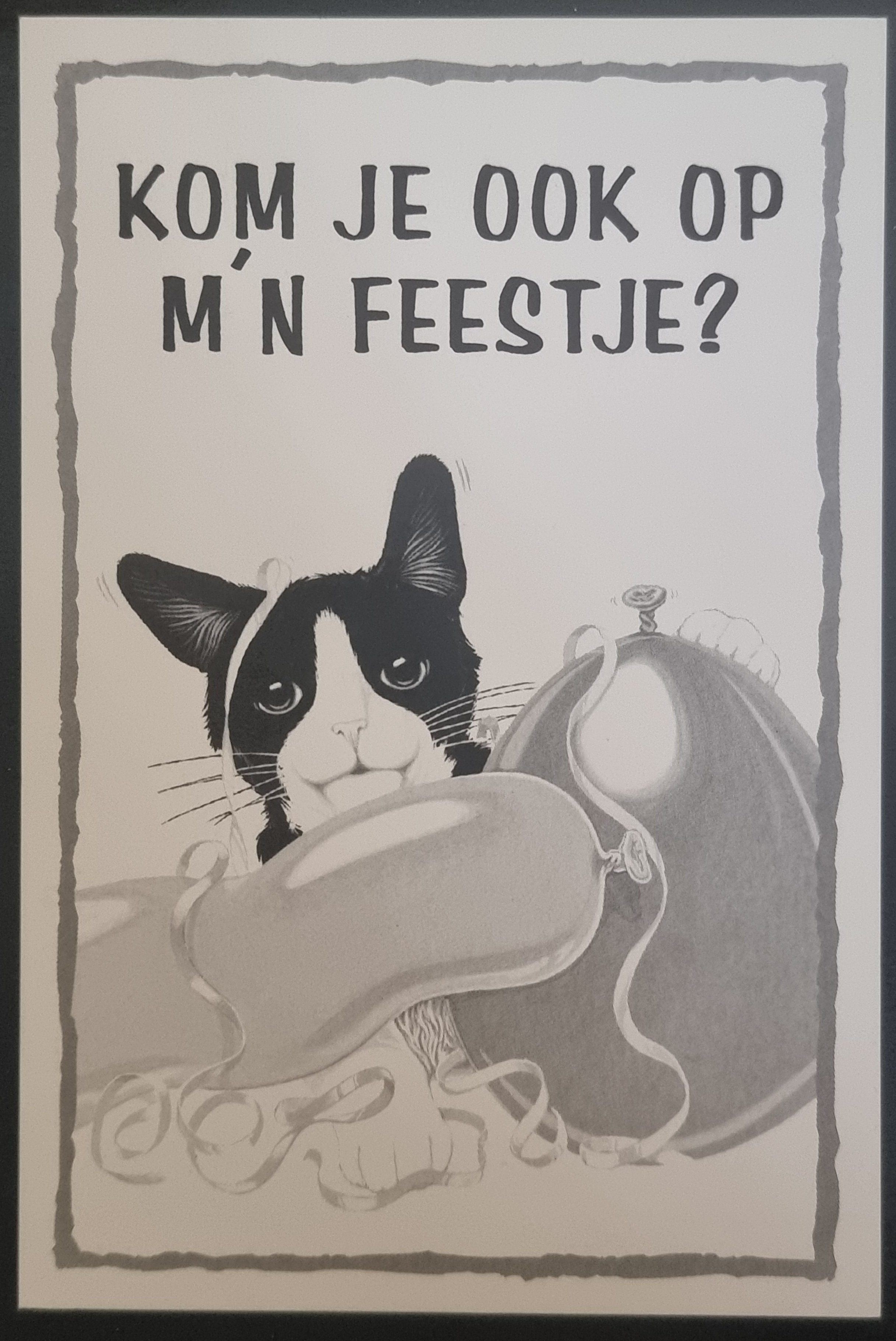 (image for) CAT 1990s and later0073