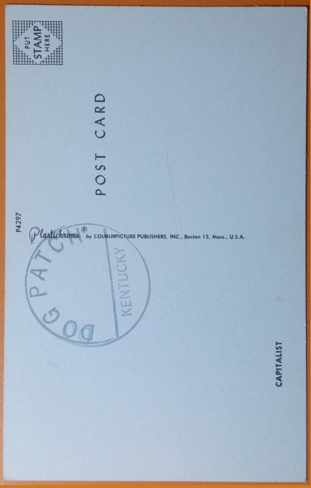 (image for) CAT-b4_50s-0001