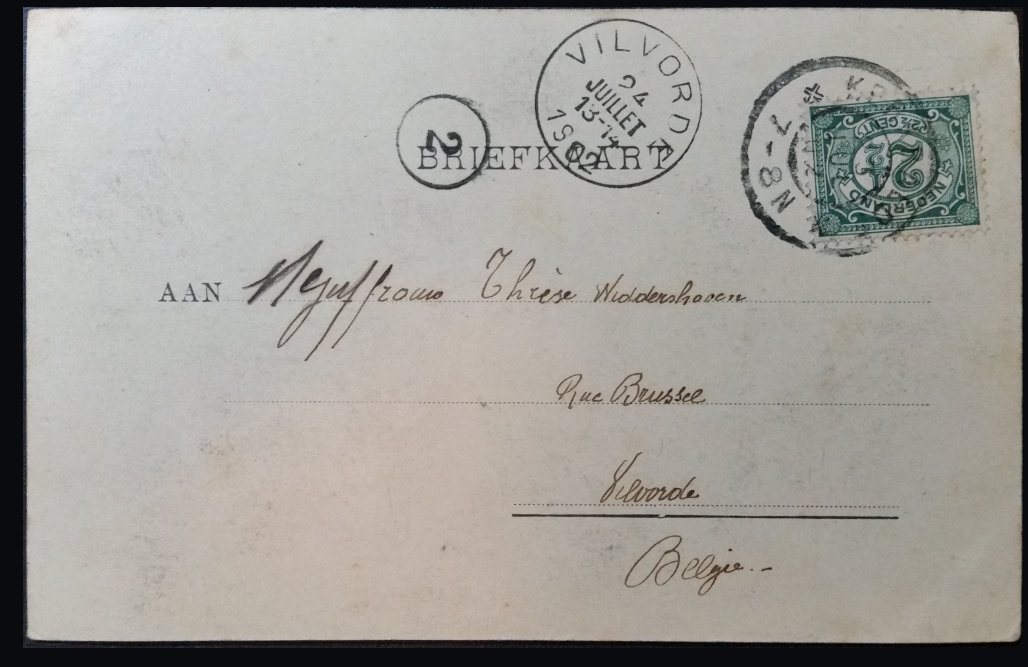 (image for) CAT-b4_50s-0002