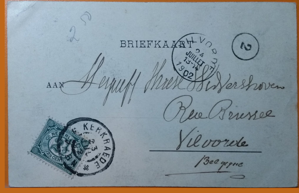 (image for) CAT-b4_50s-0004