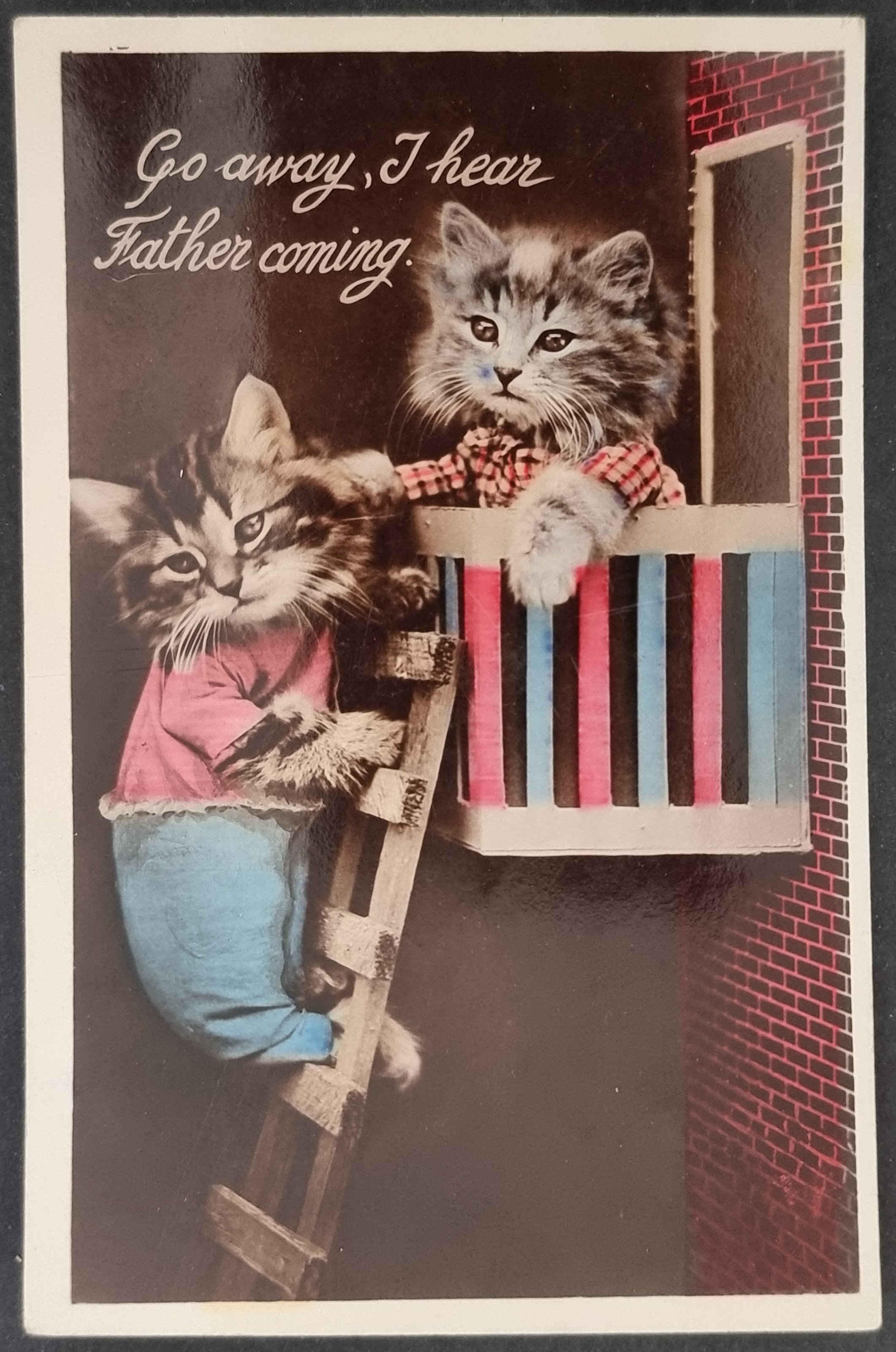 (image for) CAT-b4_50s-0008