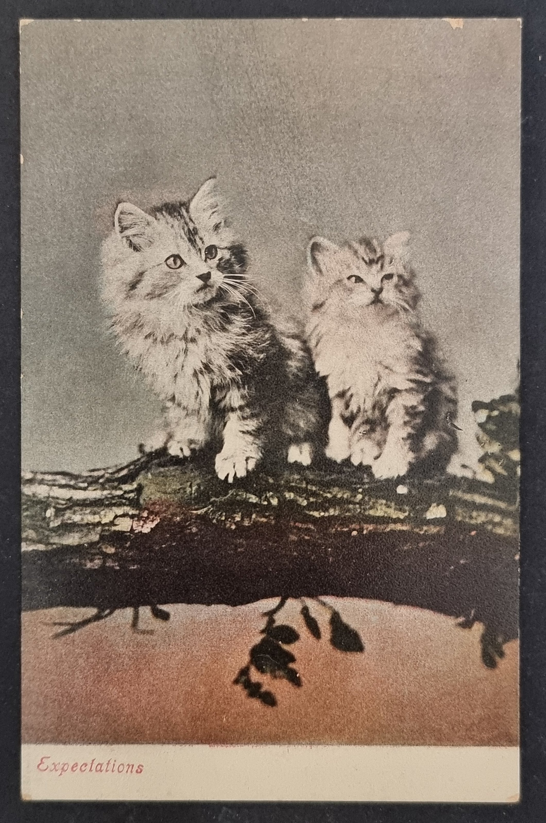 (image for) CAT-b4_50s-0009