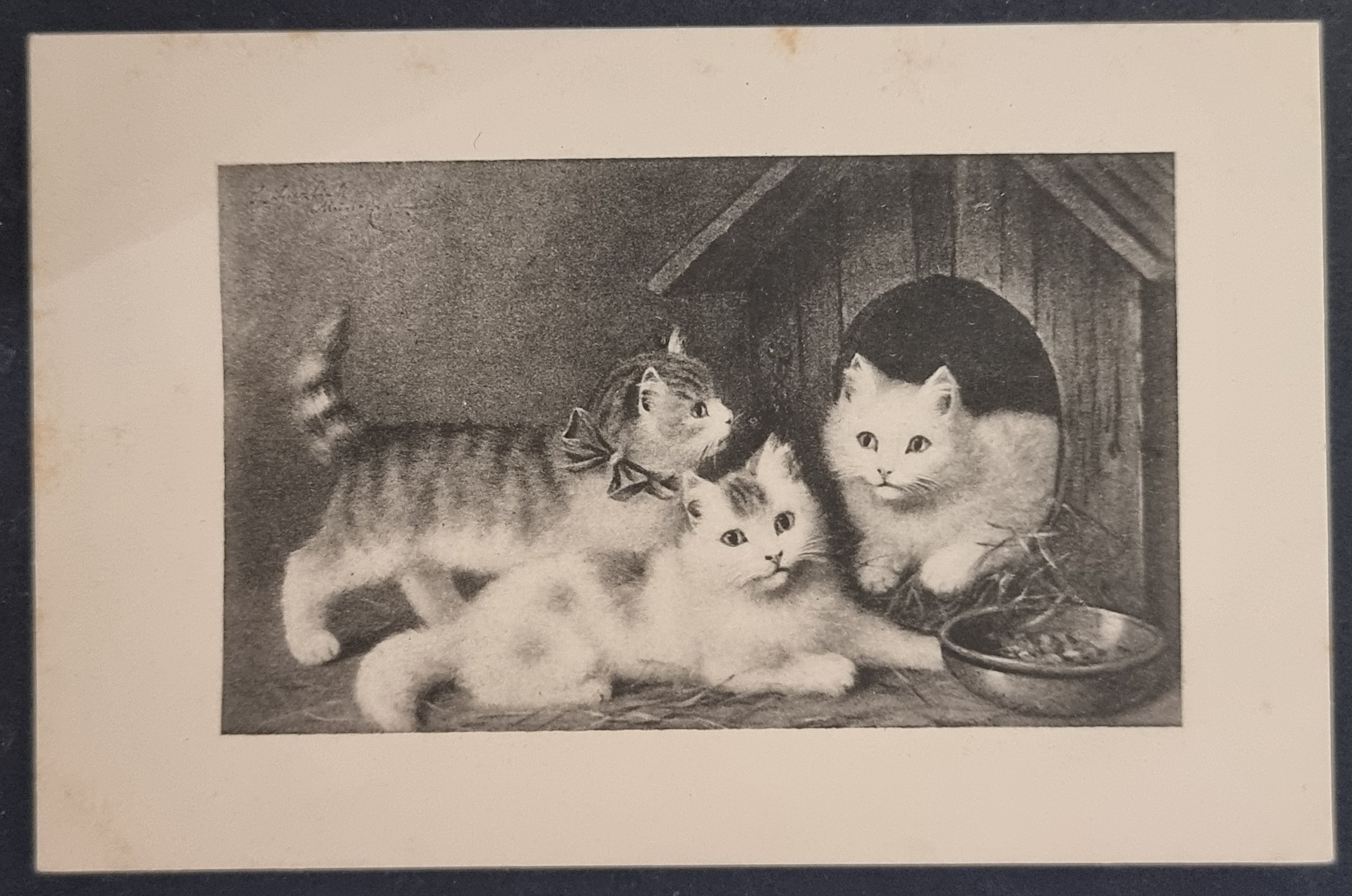 (image for) CAT-b4_50s-0013