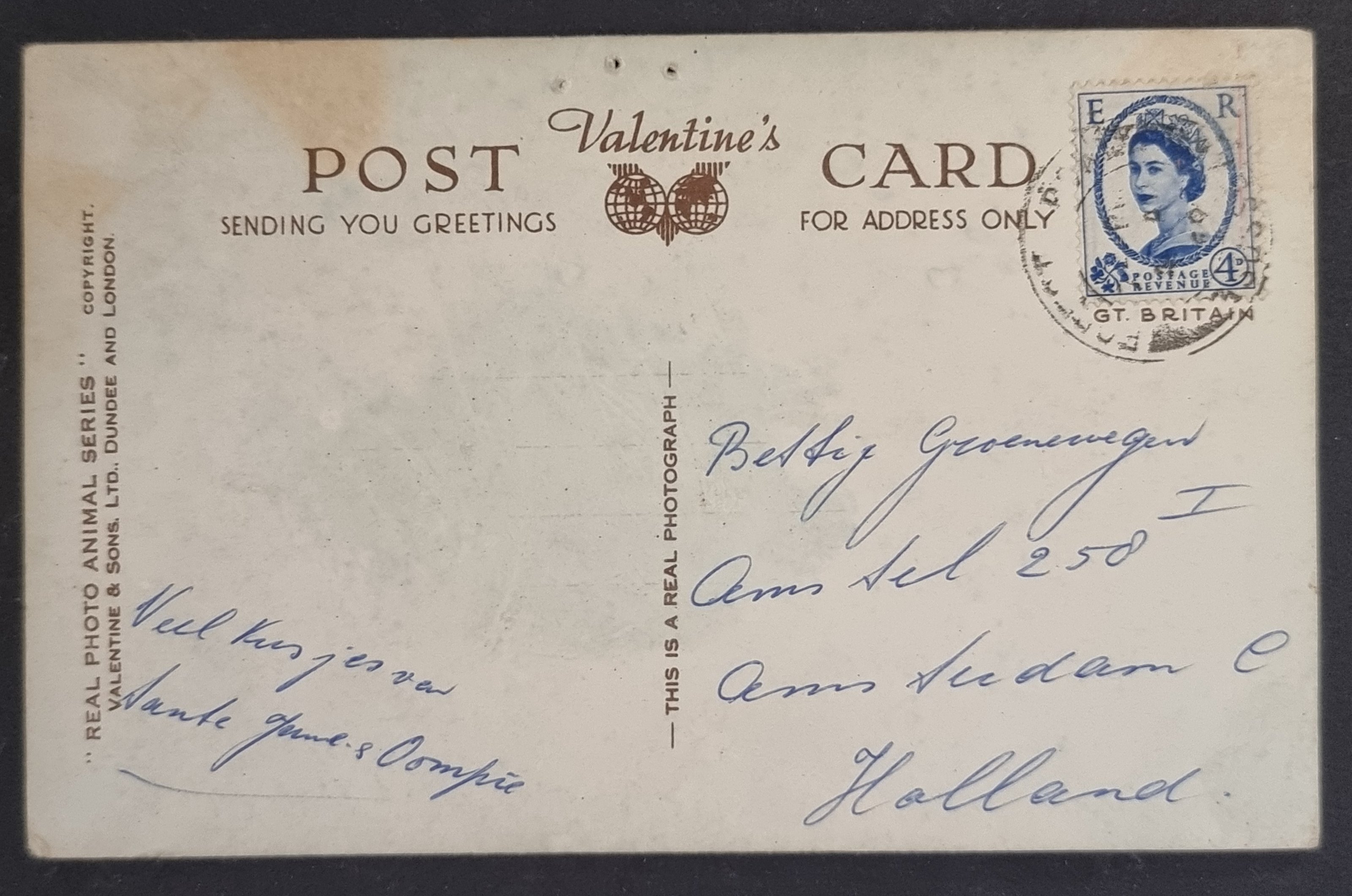 (image for) CAT-b4_50s-0014