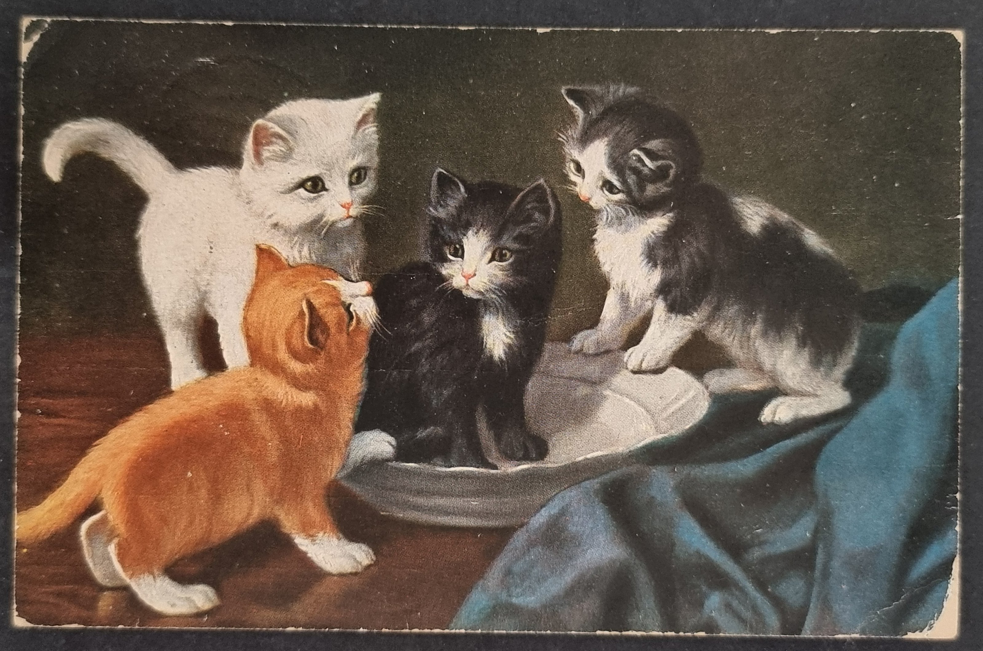 (image for) CAT-b4_50s-0017