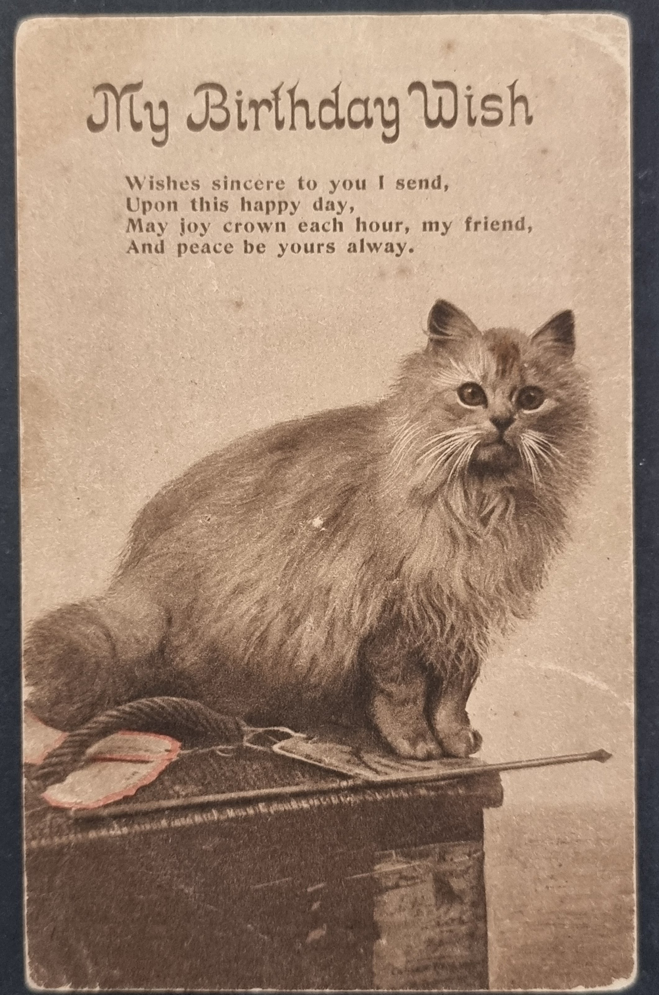 (image for) CAT-b4_50s-0018