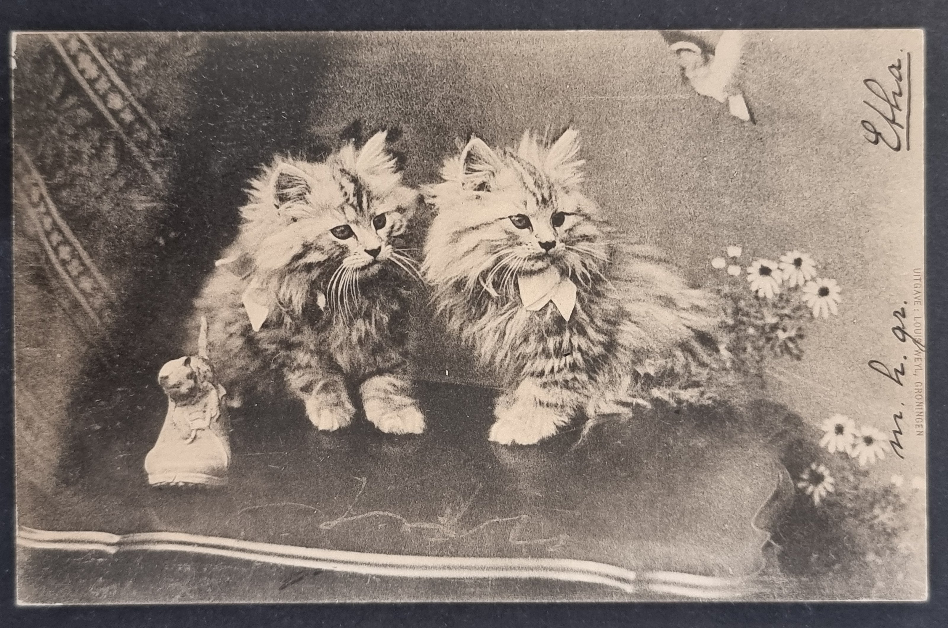 (image for) CAT-b4_50s-0019