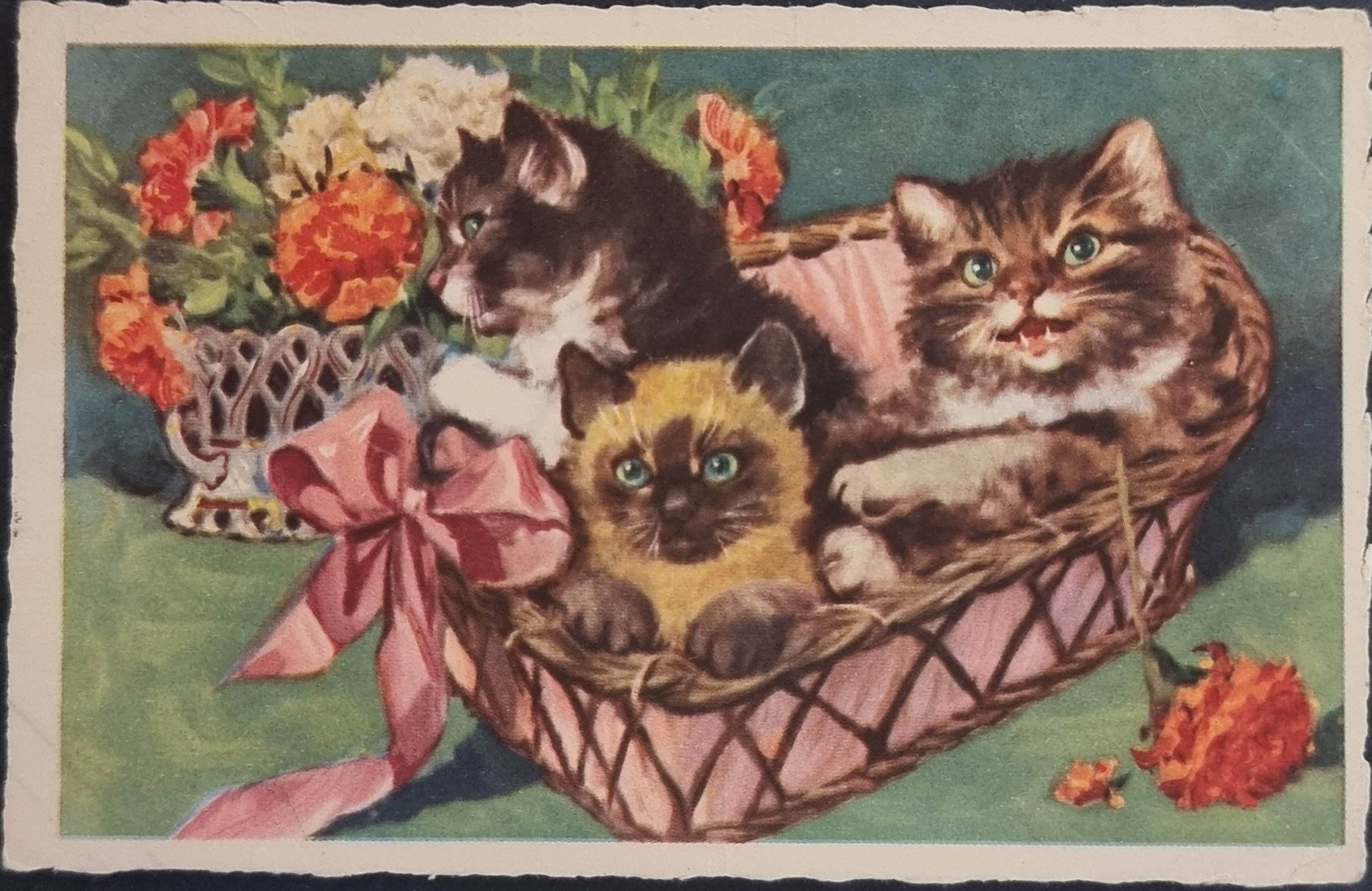 (image for) CAT-b4_50s-0021