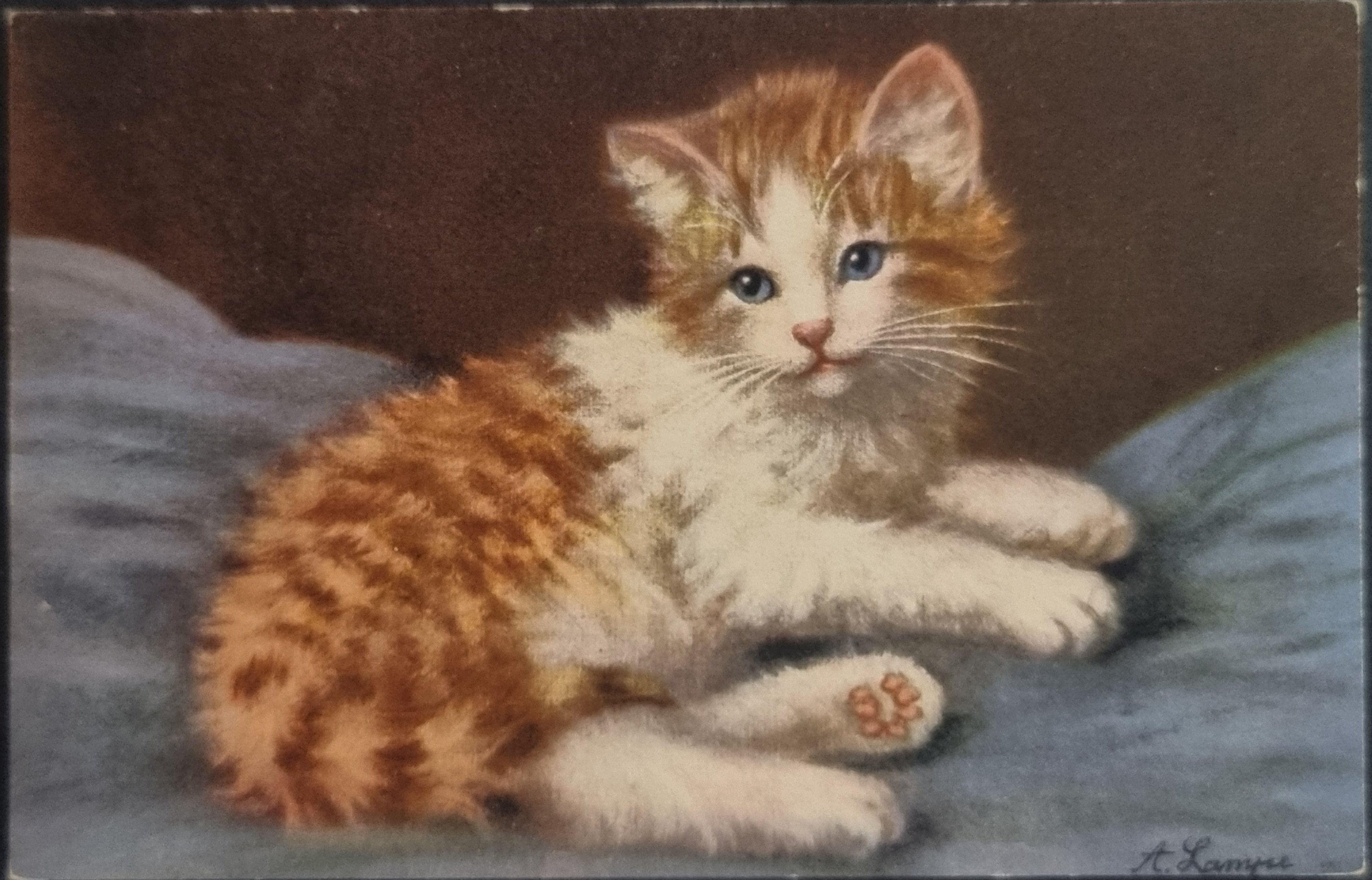 (image for) CAT-b4_50s-0022