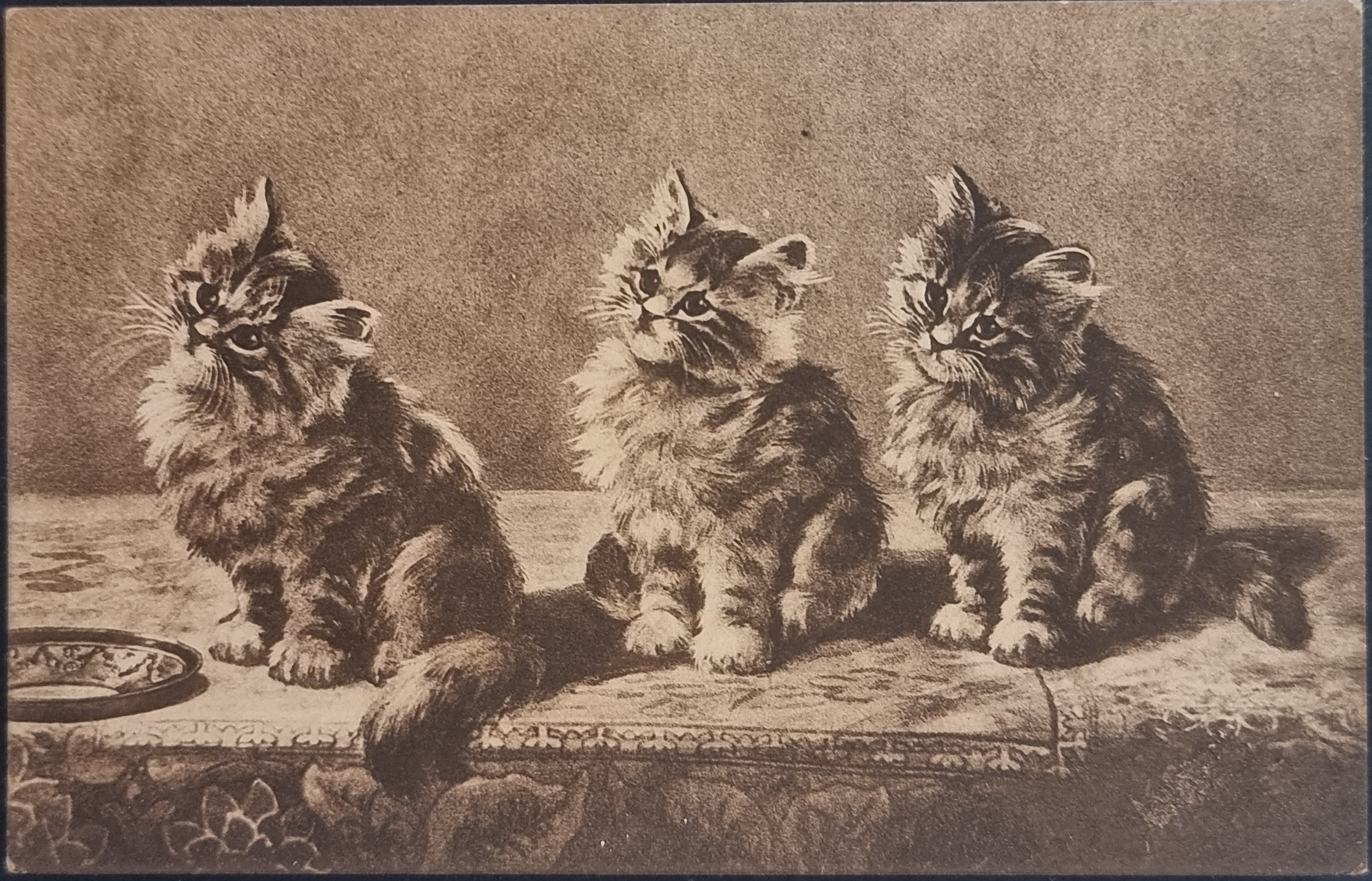 (image for) CAT-b4_50s-0023