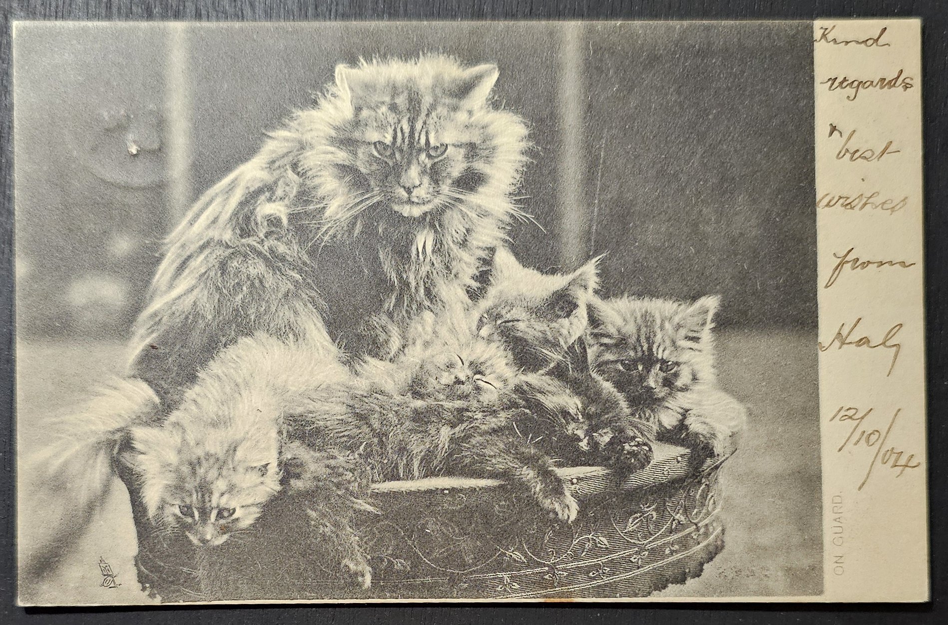 (image for) CAT-b4_50s-0024