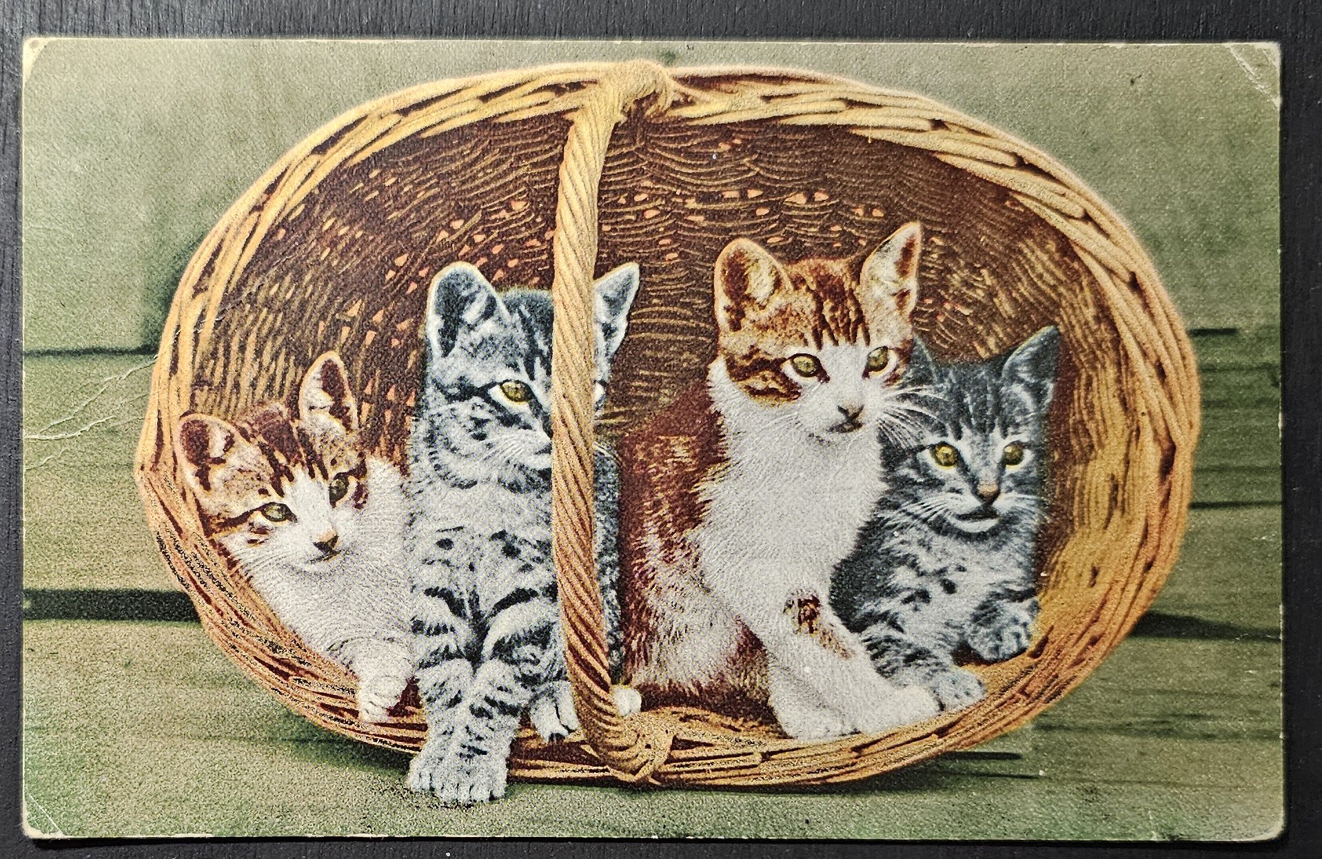 (image for) CAT-b4_50s-0025