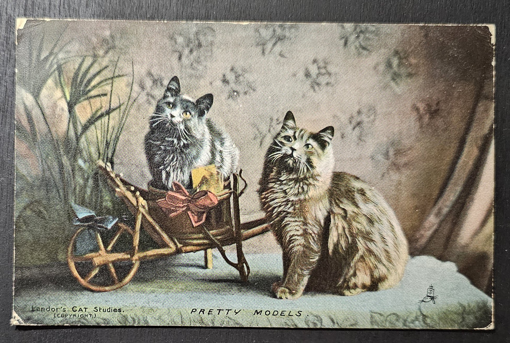 (image for) CAT-b4_50s-0026