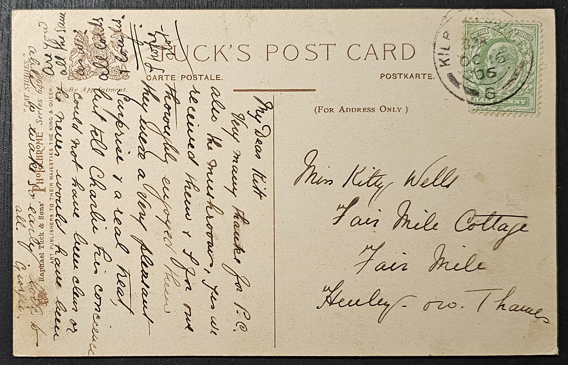 (image for) CAT-b4_50s-0026