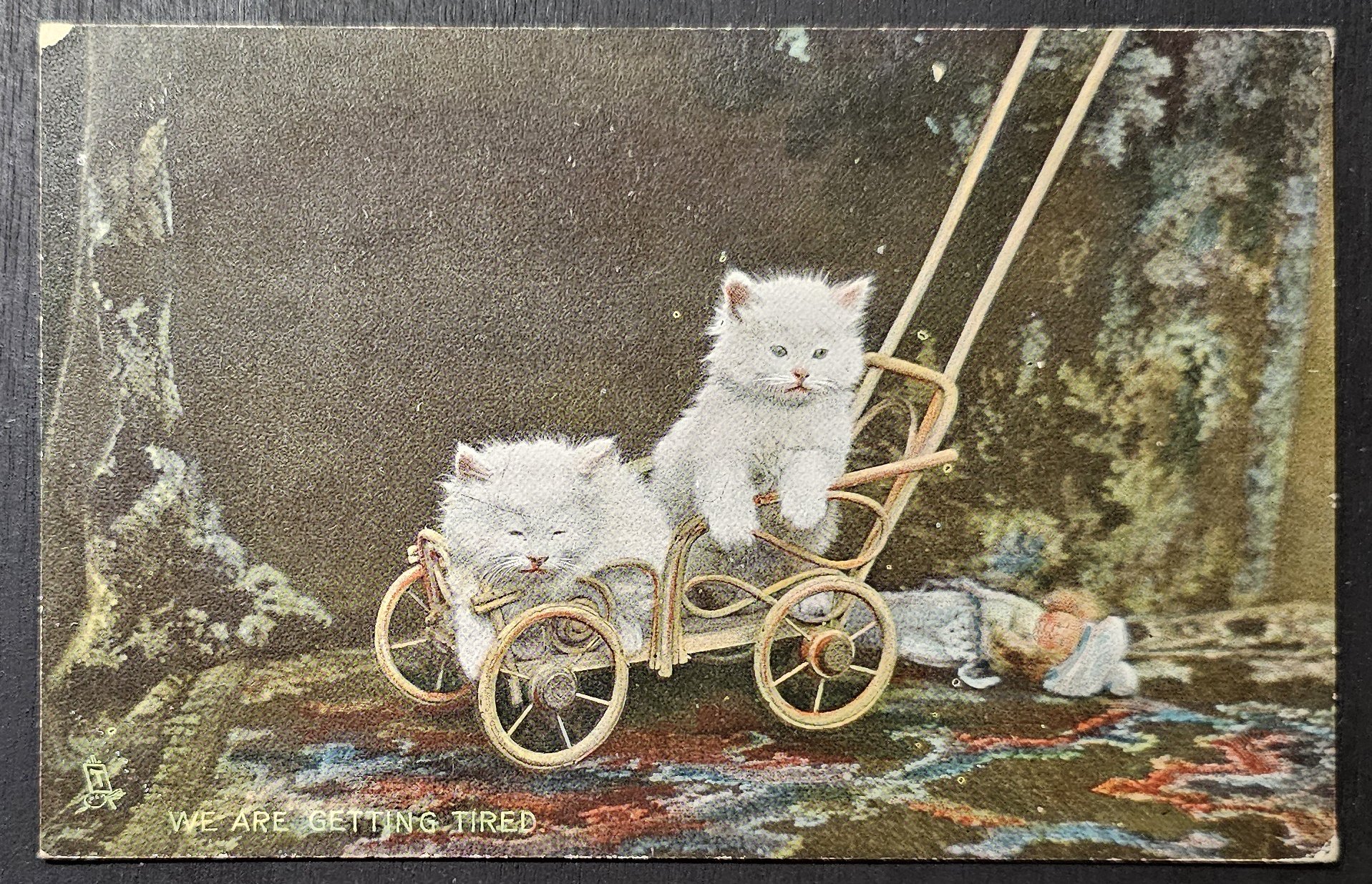 (image for) CAT-b4_50s-0027