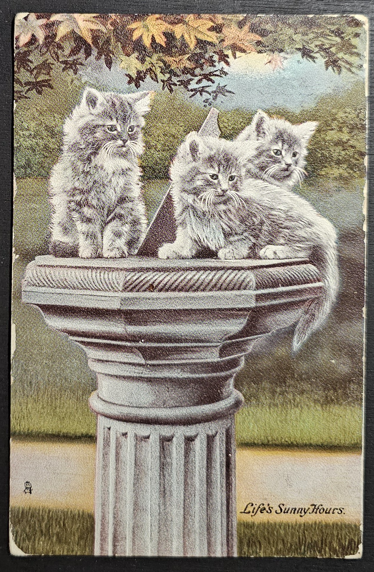 (image for) CAT-b4_50s-0028