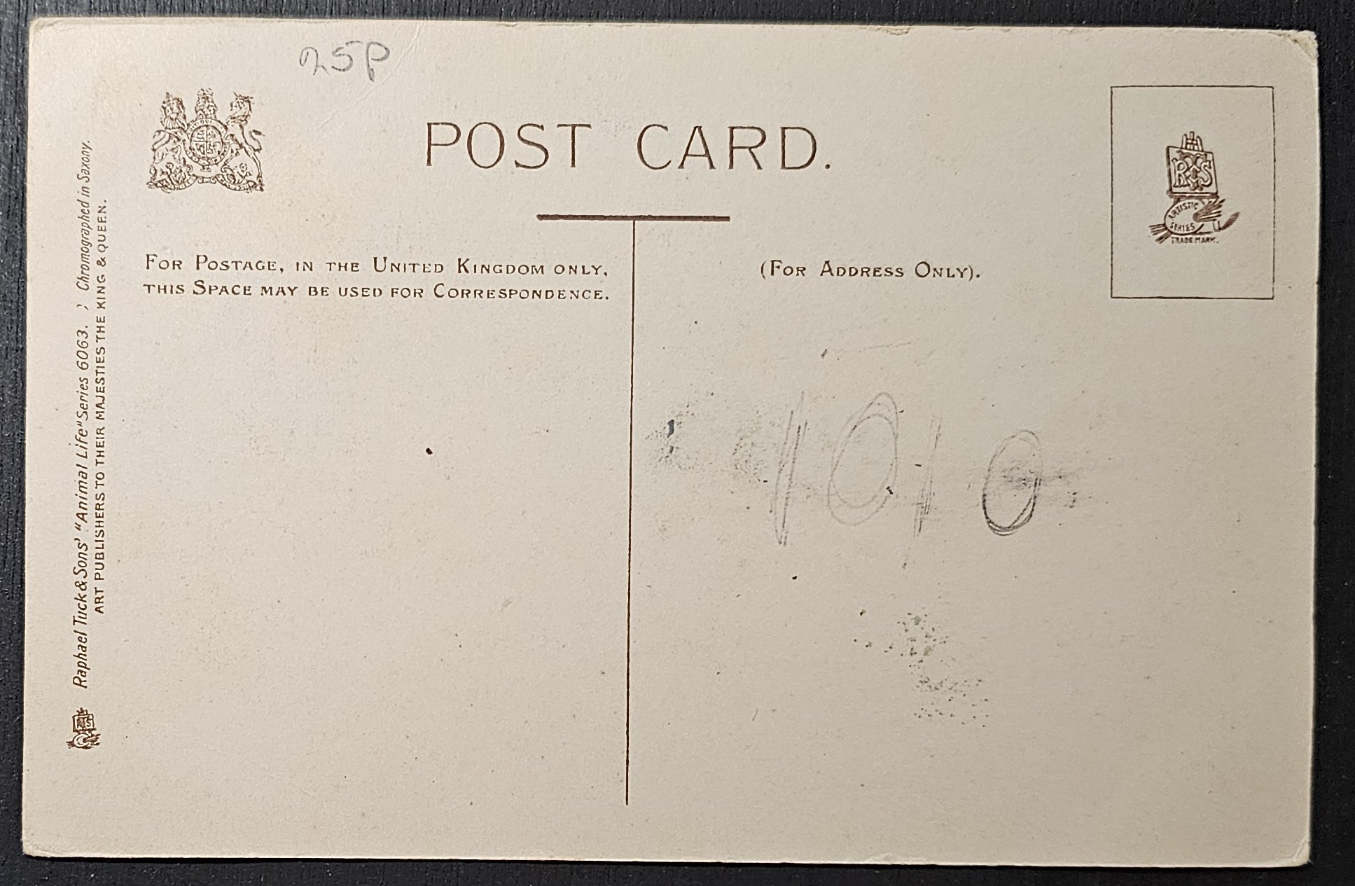 (image for) CAT-b4_50s-0028