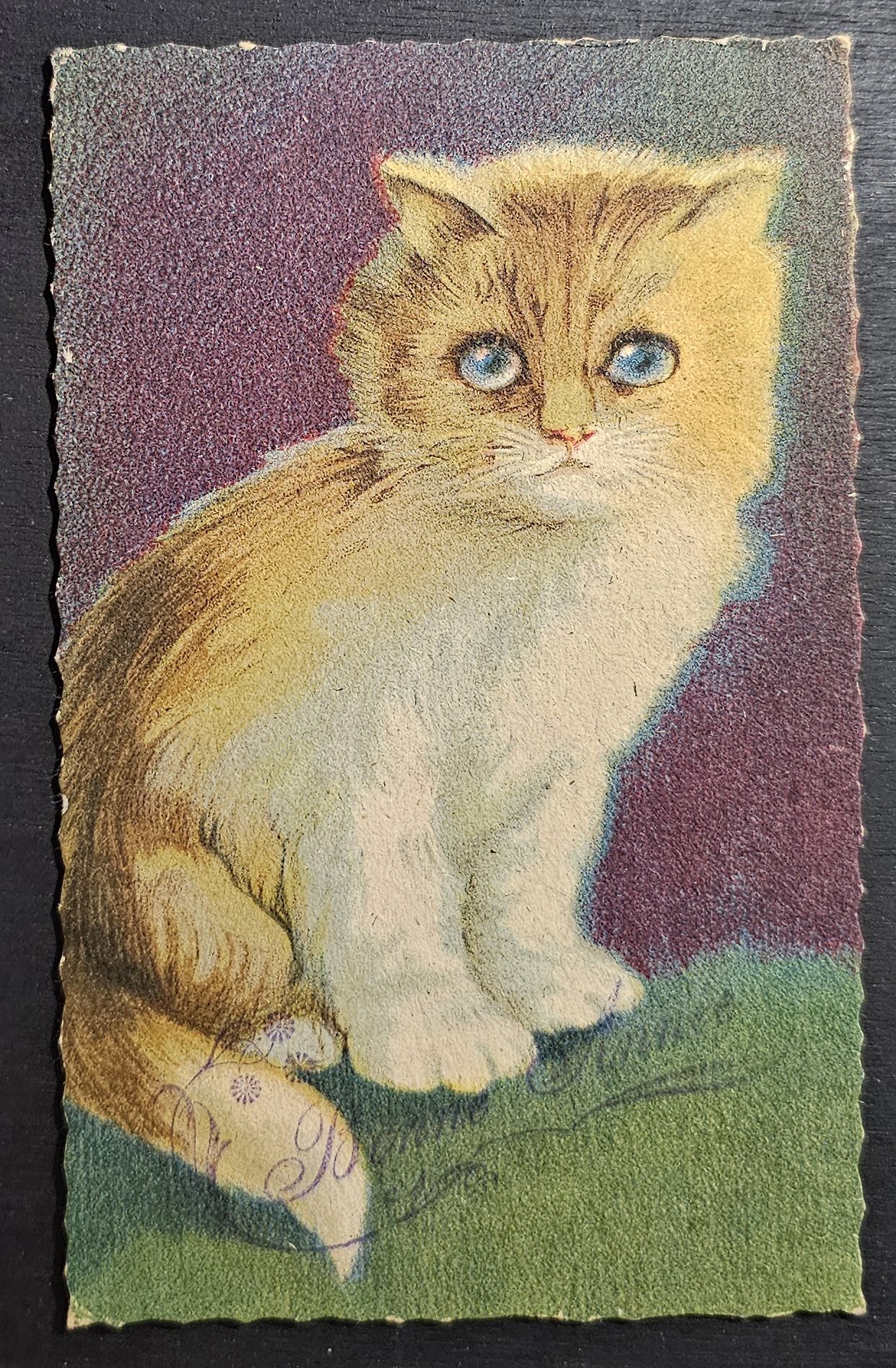 (image for) CAT-b4_50s-0029