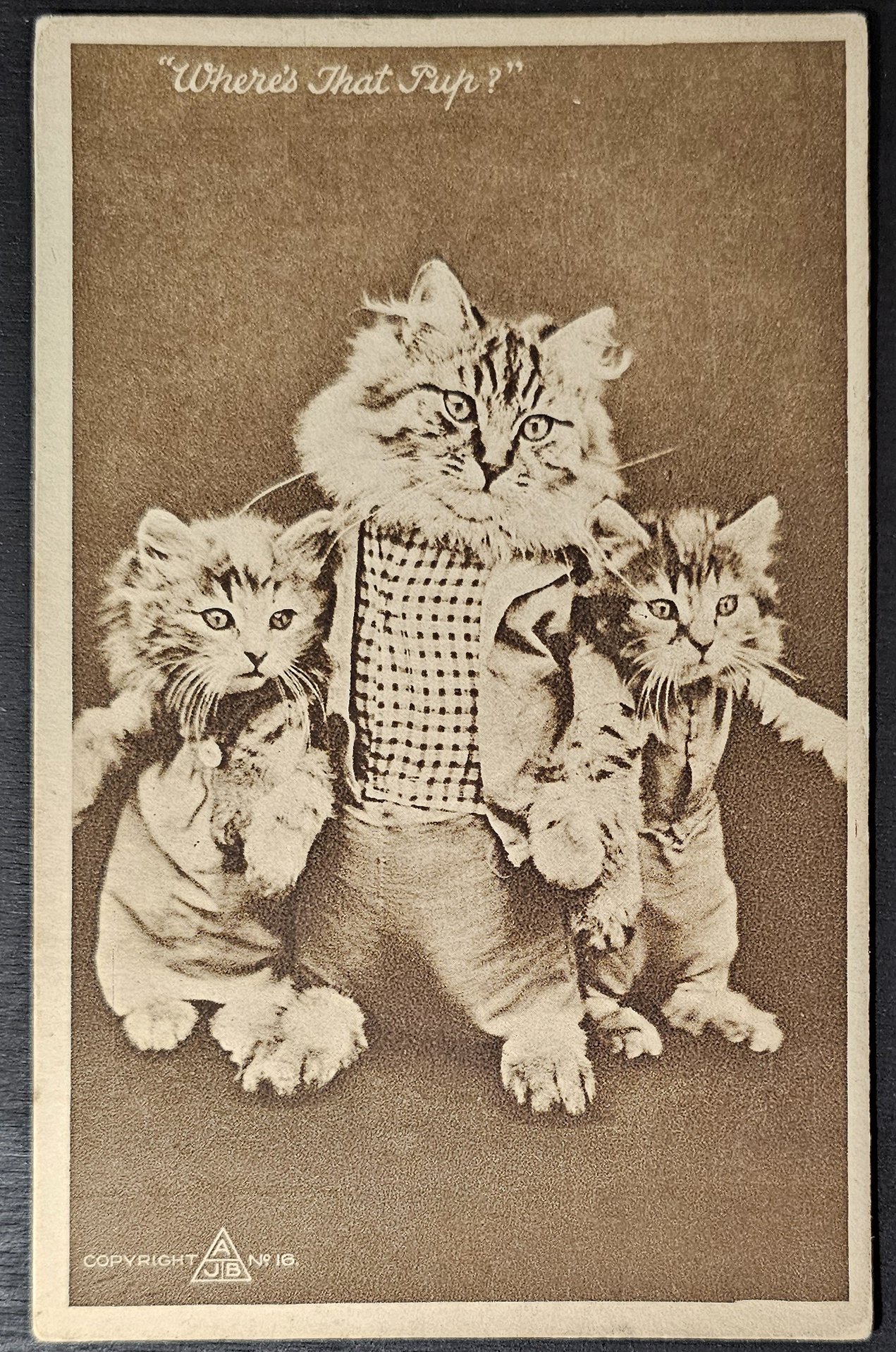 (image for) CAT-b4_50s-0030