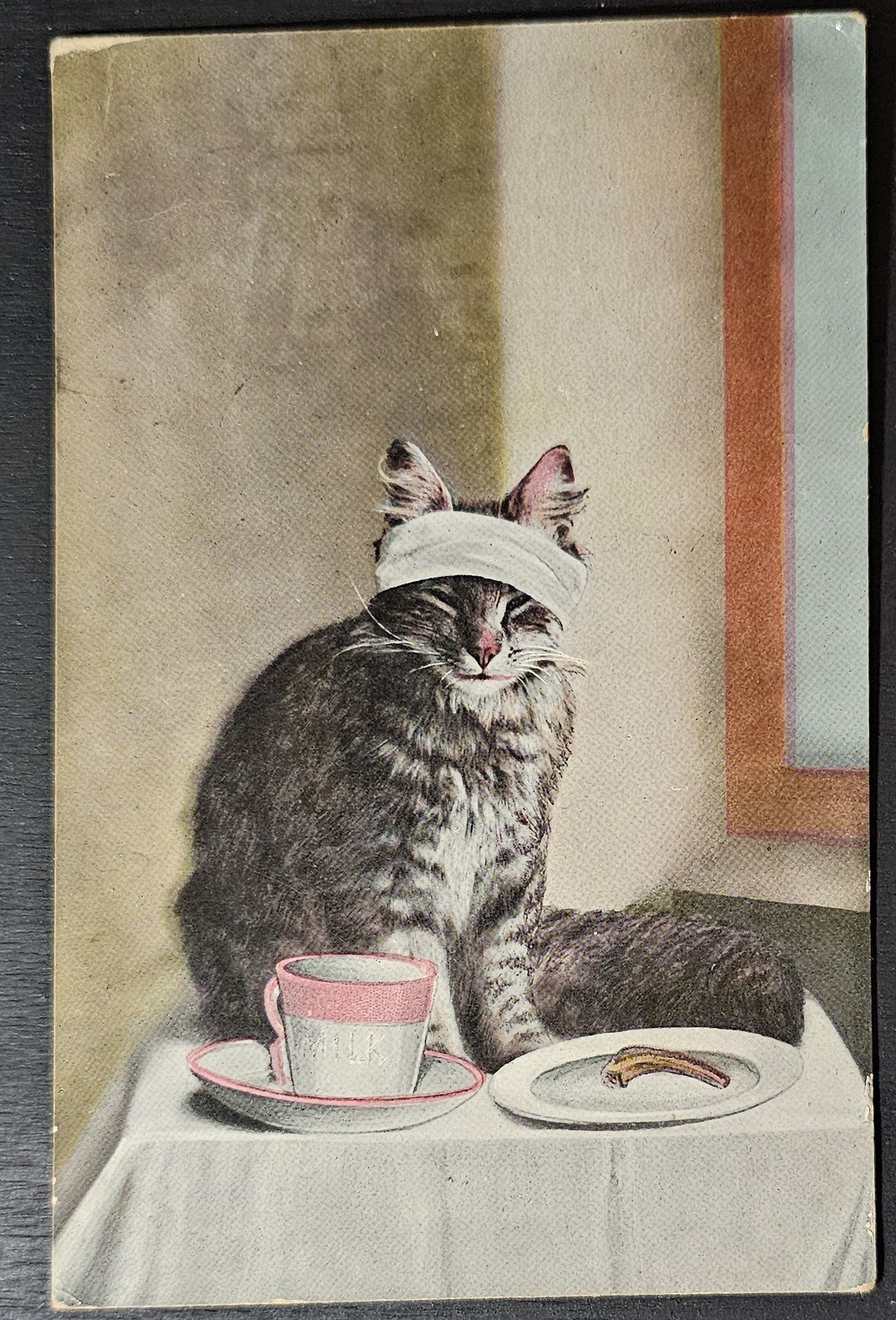 (image for) CAT-b4_50s-0034