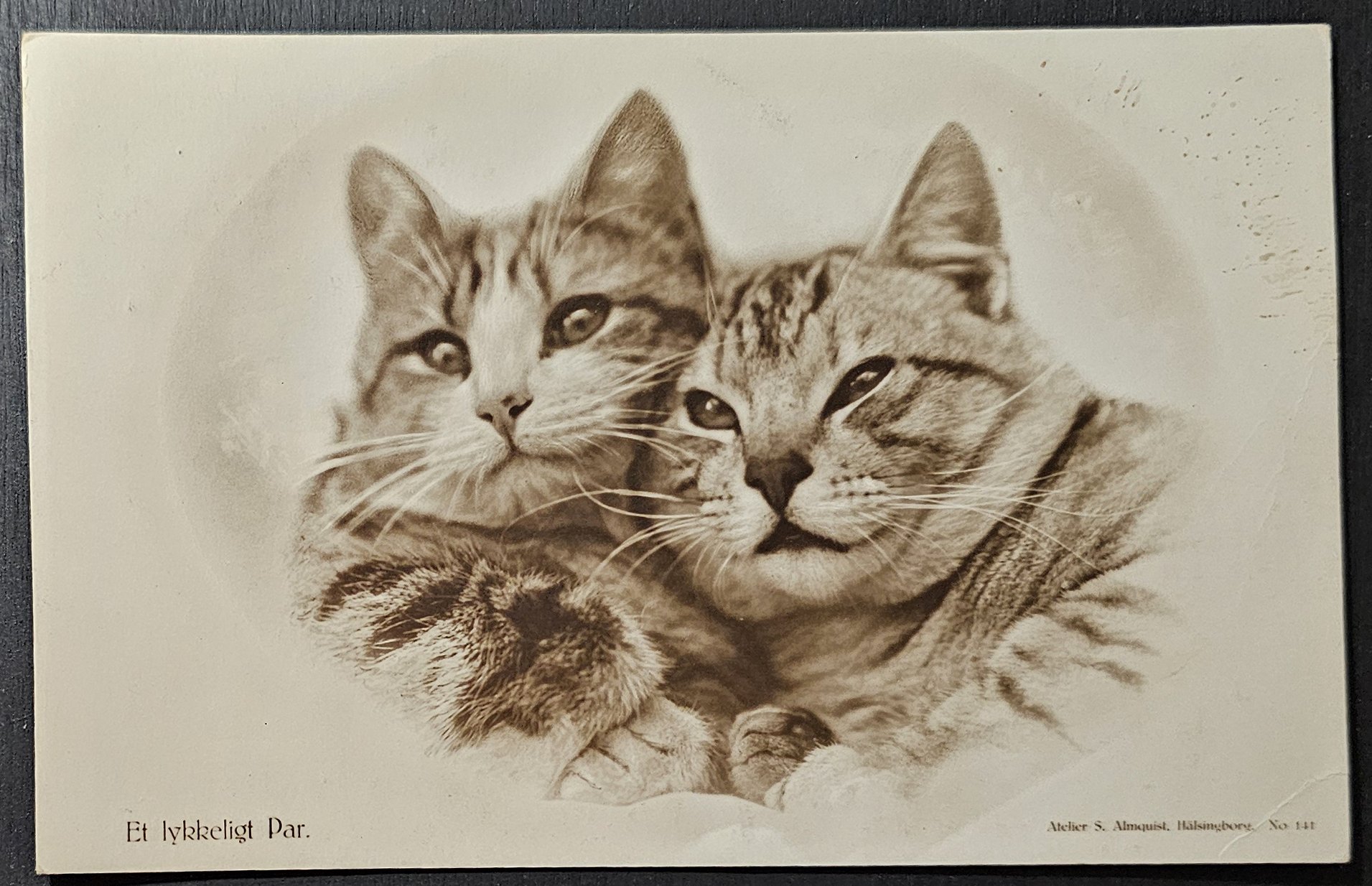 (image for) CAT-b4_50s-0035