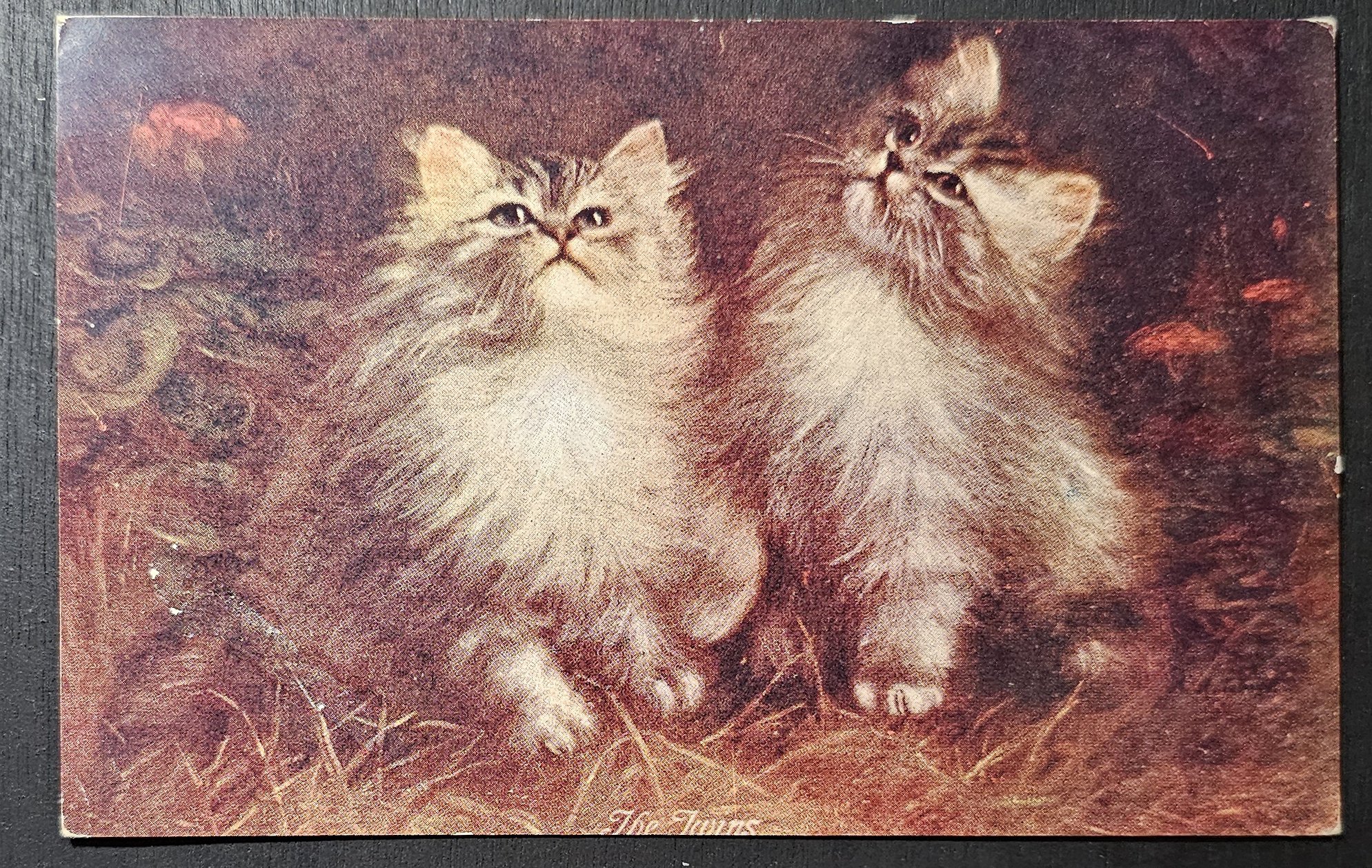 (image for) CAT-b4_50s-0037