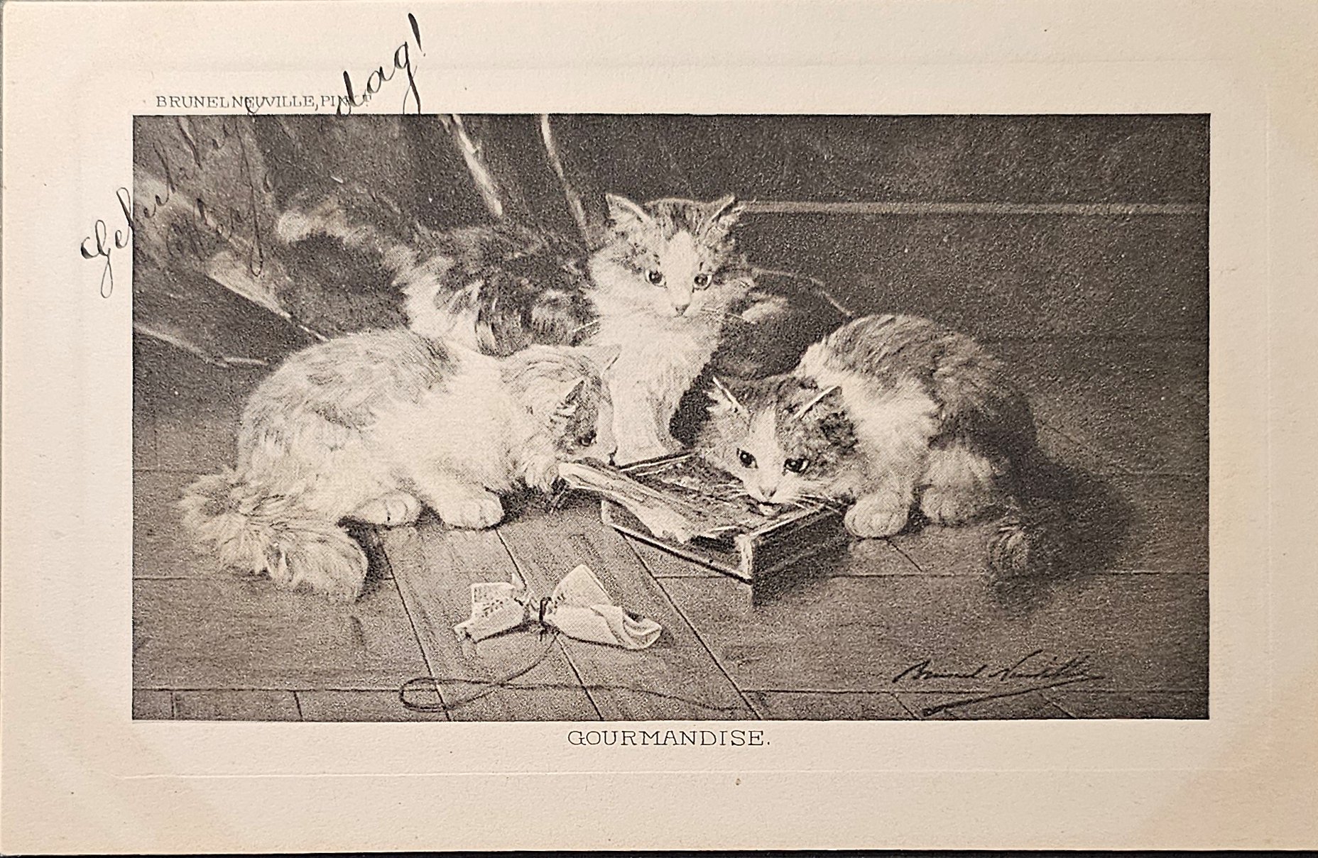 (image for) CAT-b4_50s-0041