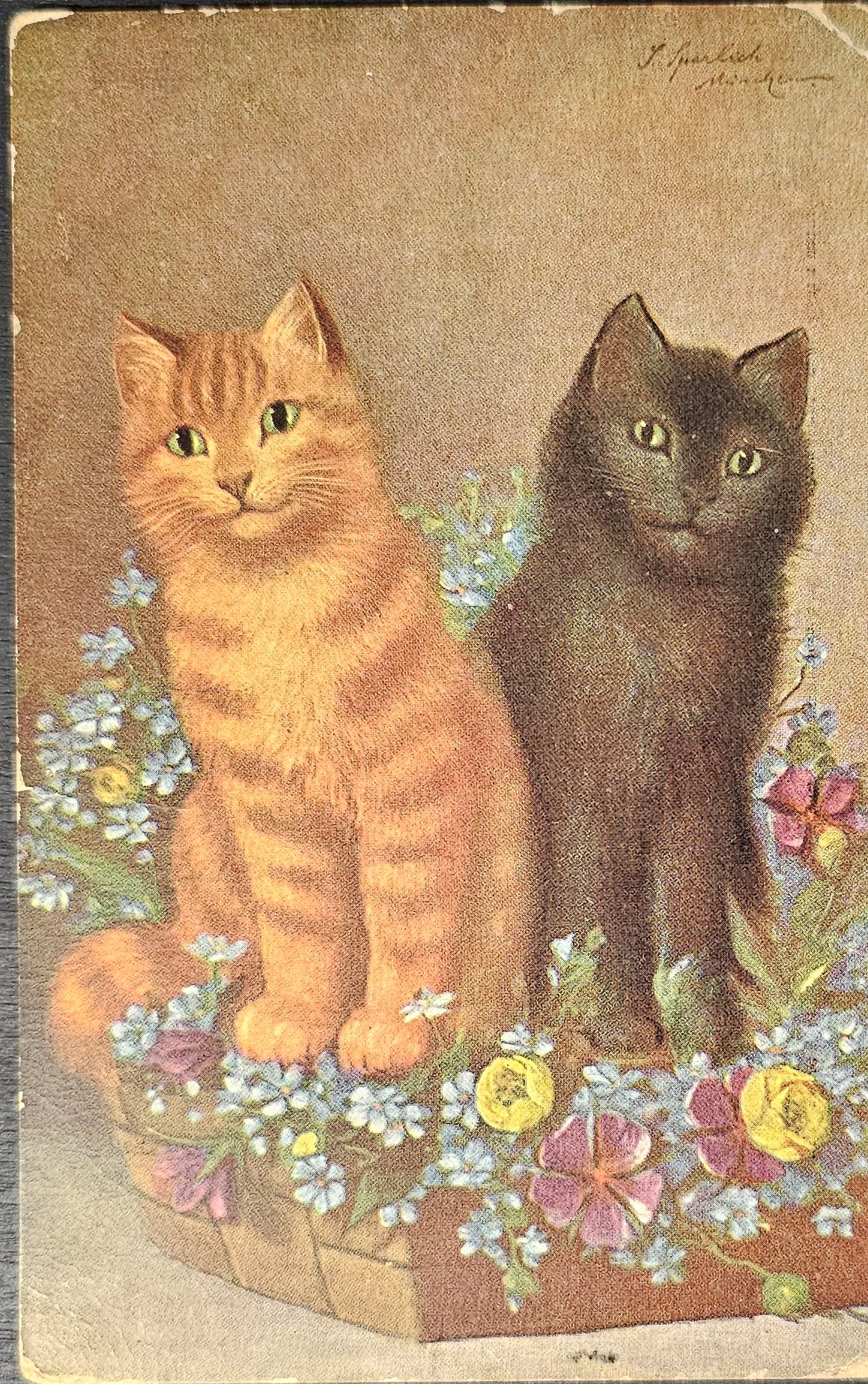 (image for) CAT-b4_50s-0048