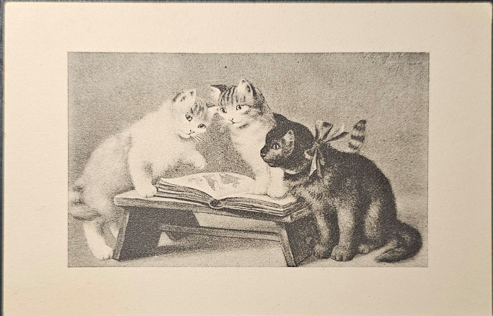 (image for) CAT-b4_50s-0049