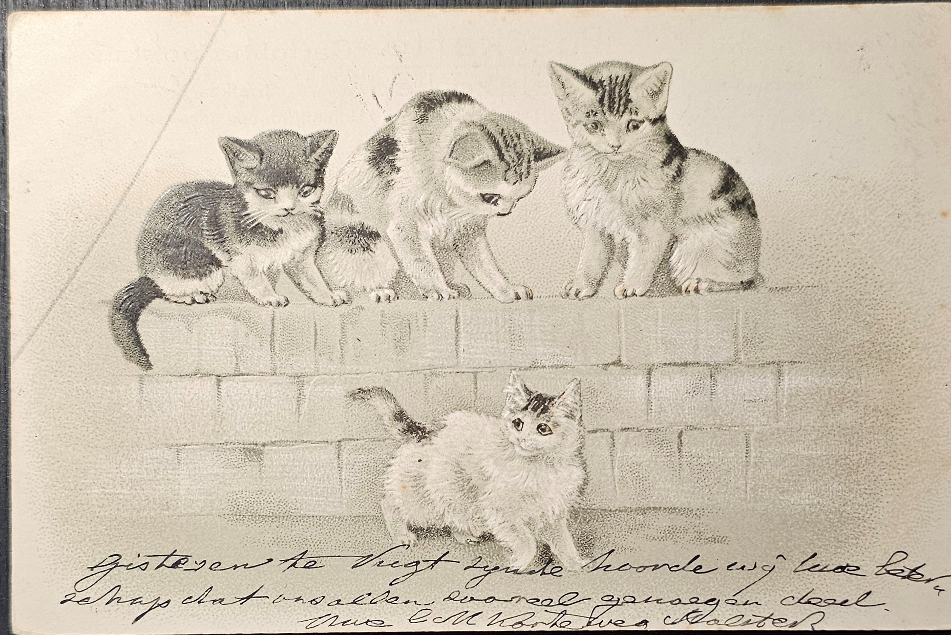 (image for) CAT-b4_50s-0052