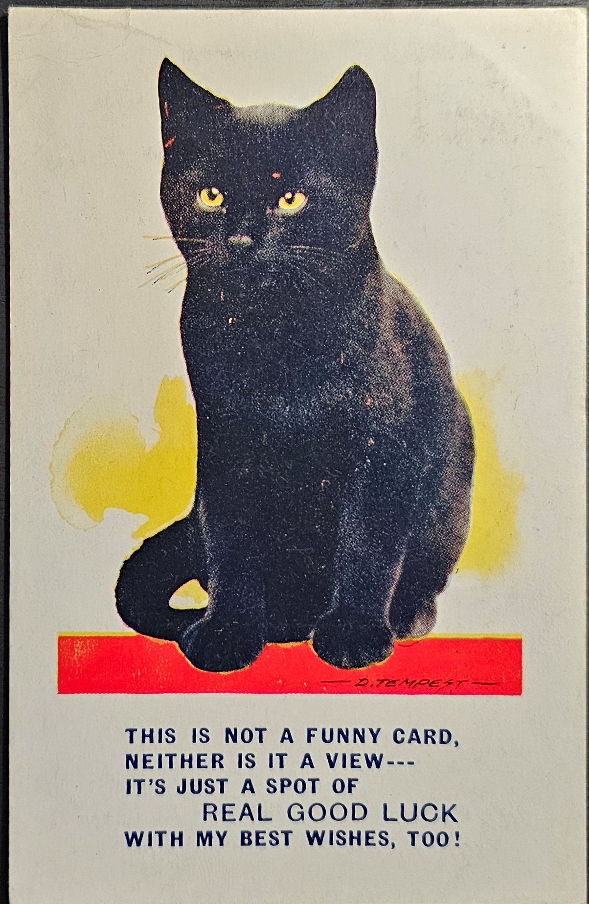 (image for) CAT-b4_50s-0053