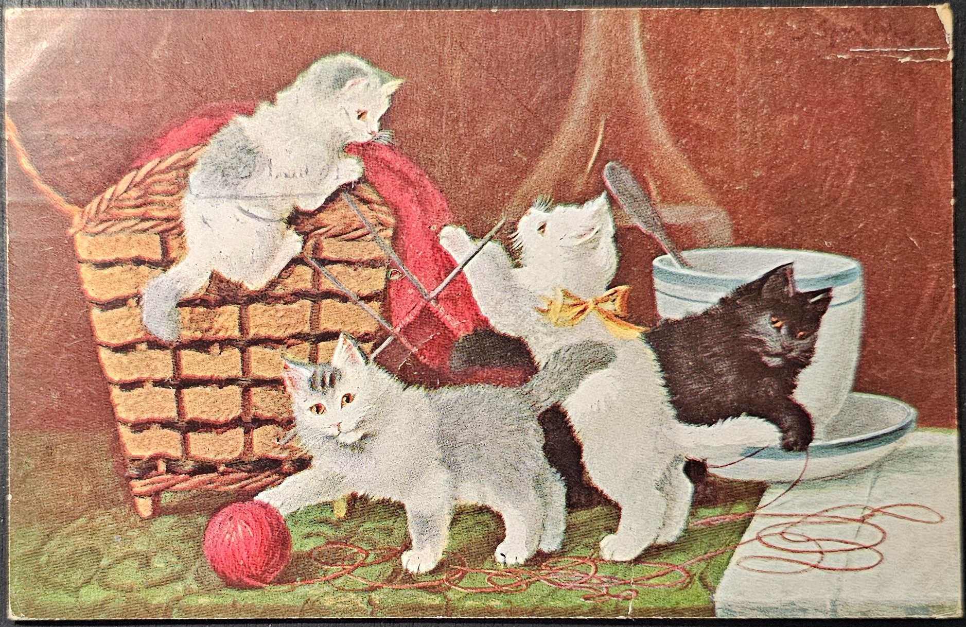 (image for) CAT-b4_50s-0054