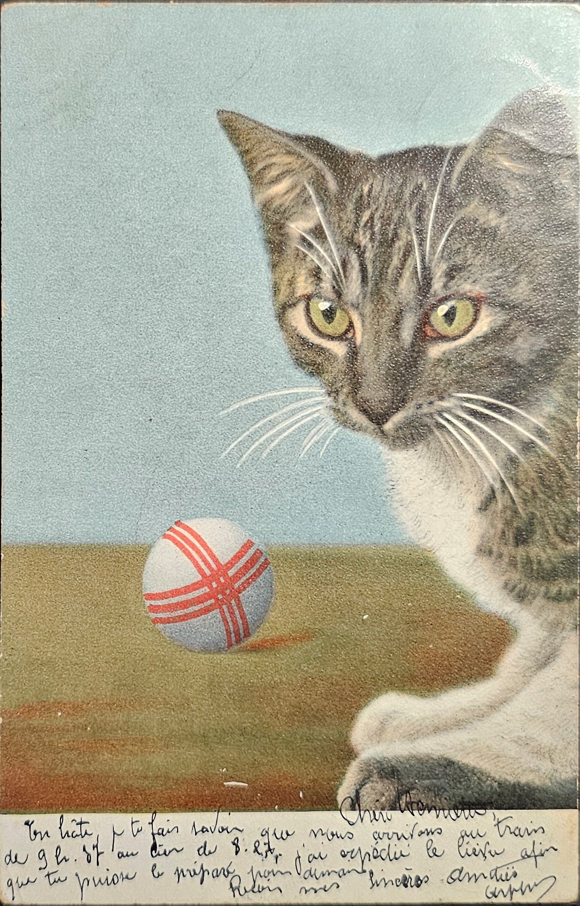 (image for) CAT-b4_50s-0060