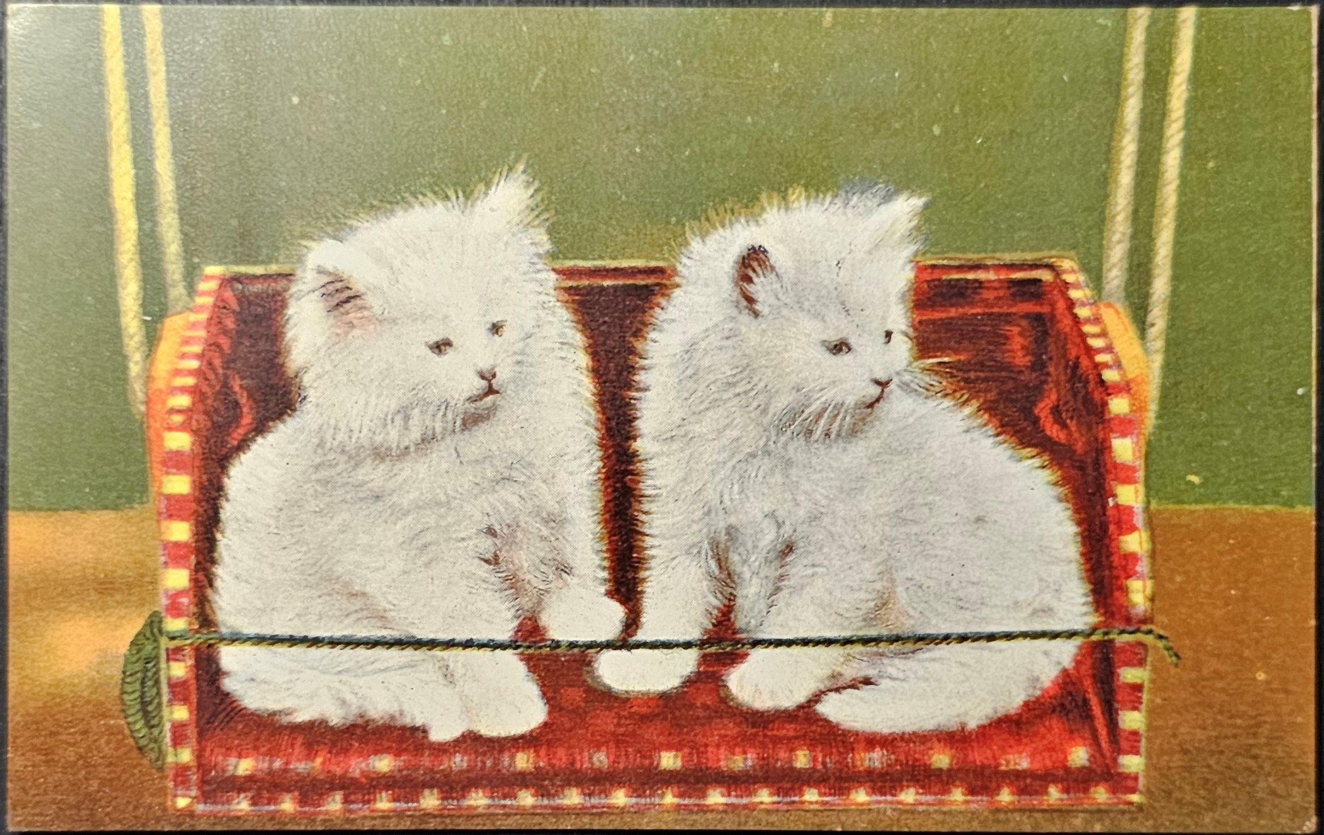 (image for) CAT-b4_50s-0064